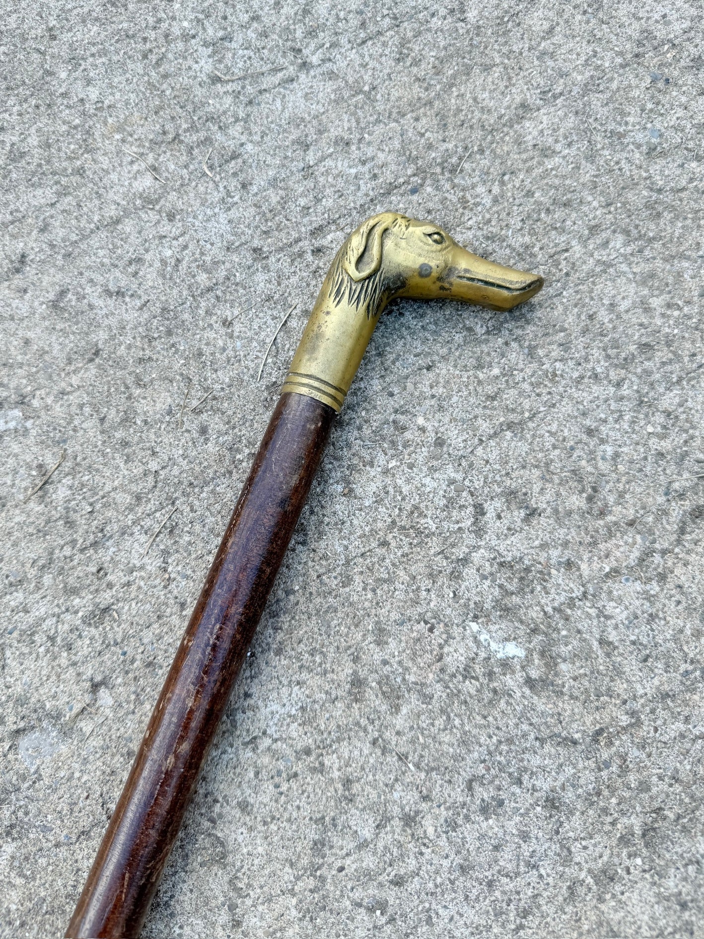 Vintage Wood & Solid Brass Greyhound Head Walking Stick