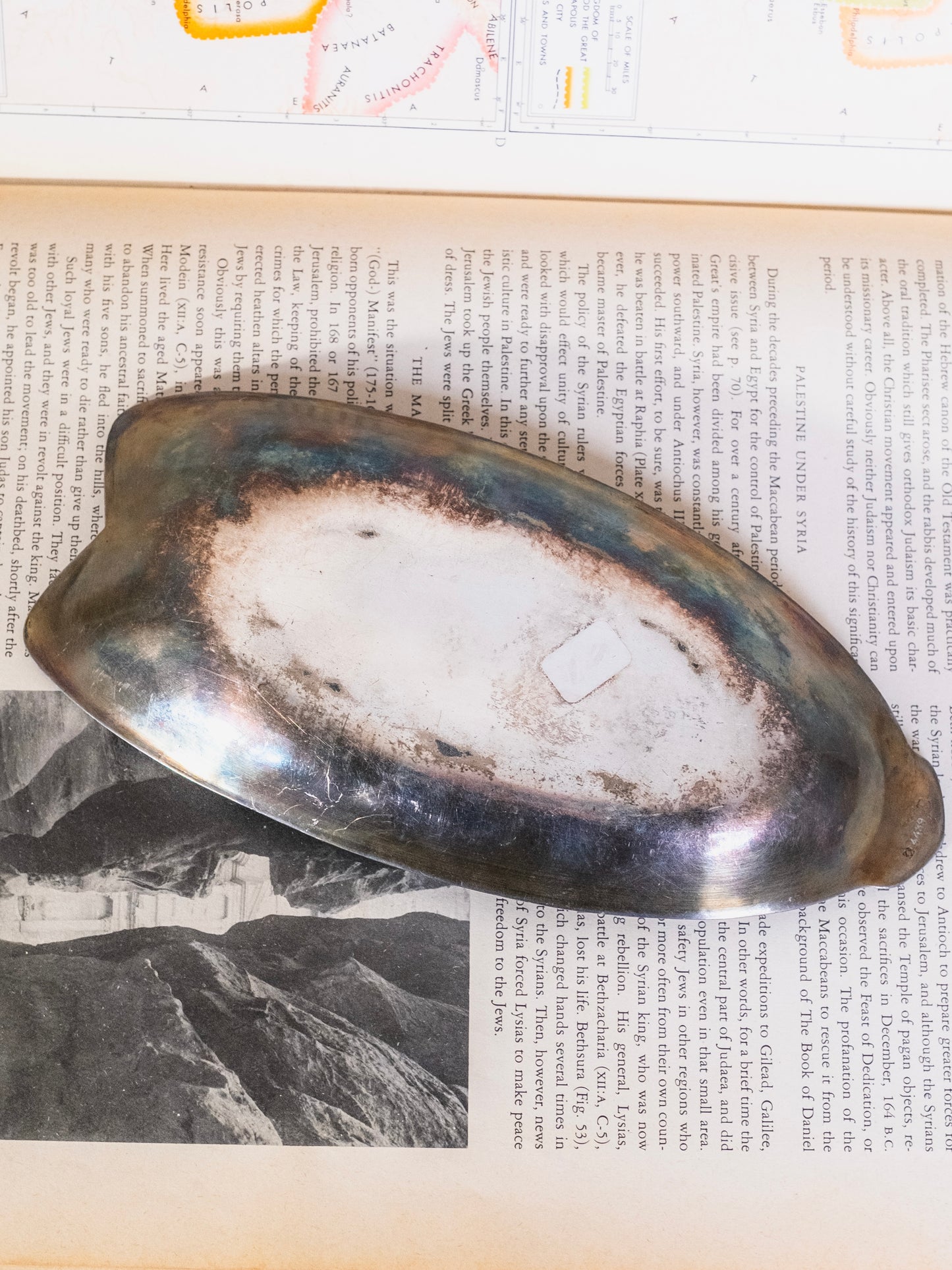 Antique 1900s Art Nouveau "Tree of Life" Christofle Gallia Silver-Plated Apértif Dish