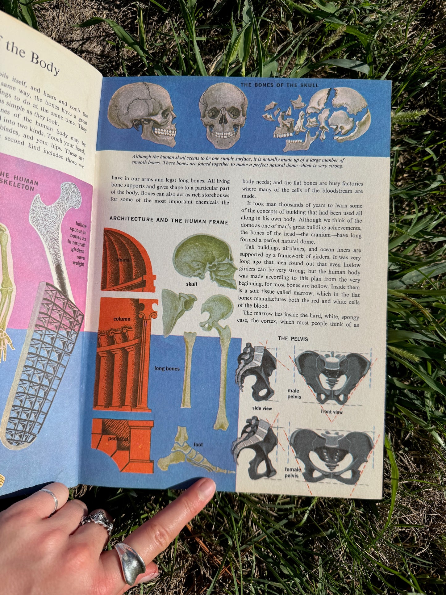Vintage 1970s The Human Body Textbook