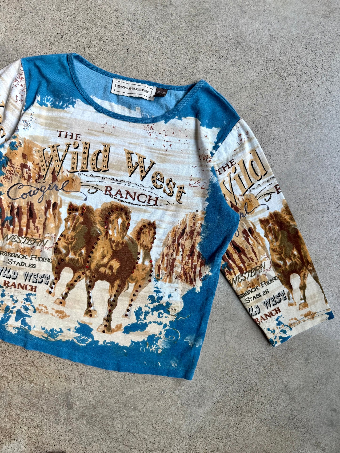 2000s Bit & Bridle Wild West Sequin Graphic Top | Large