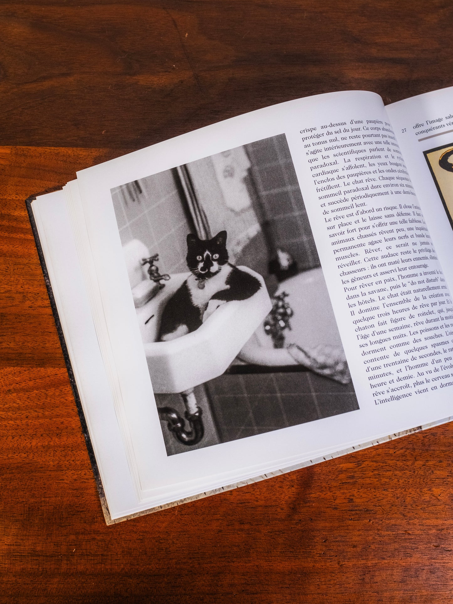 Le Chat Book