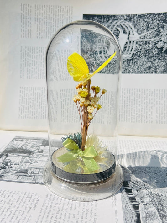 Vintage 1970s Preserved Butterfly & Dried Flowers Glass Dome Display