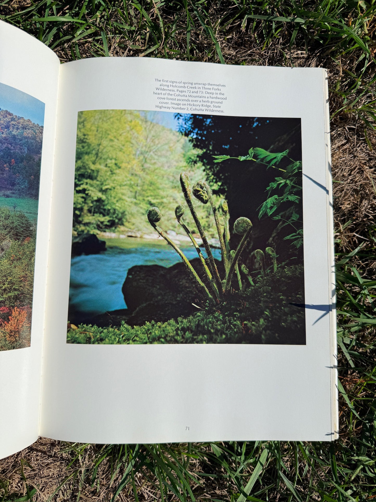 Vintage Georgia Photography Book