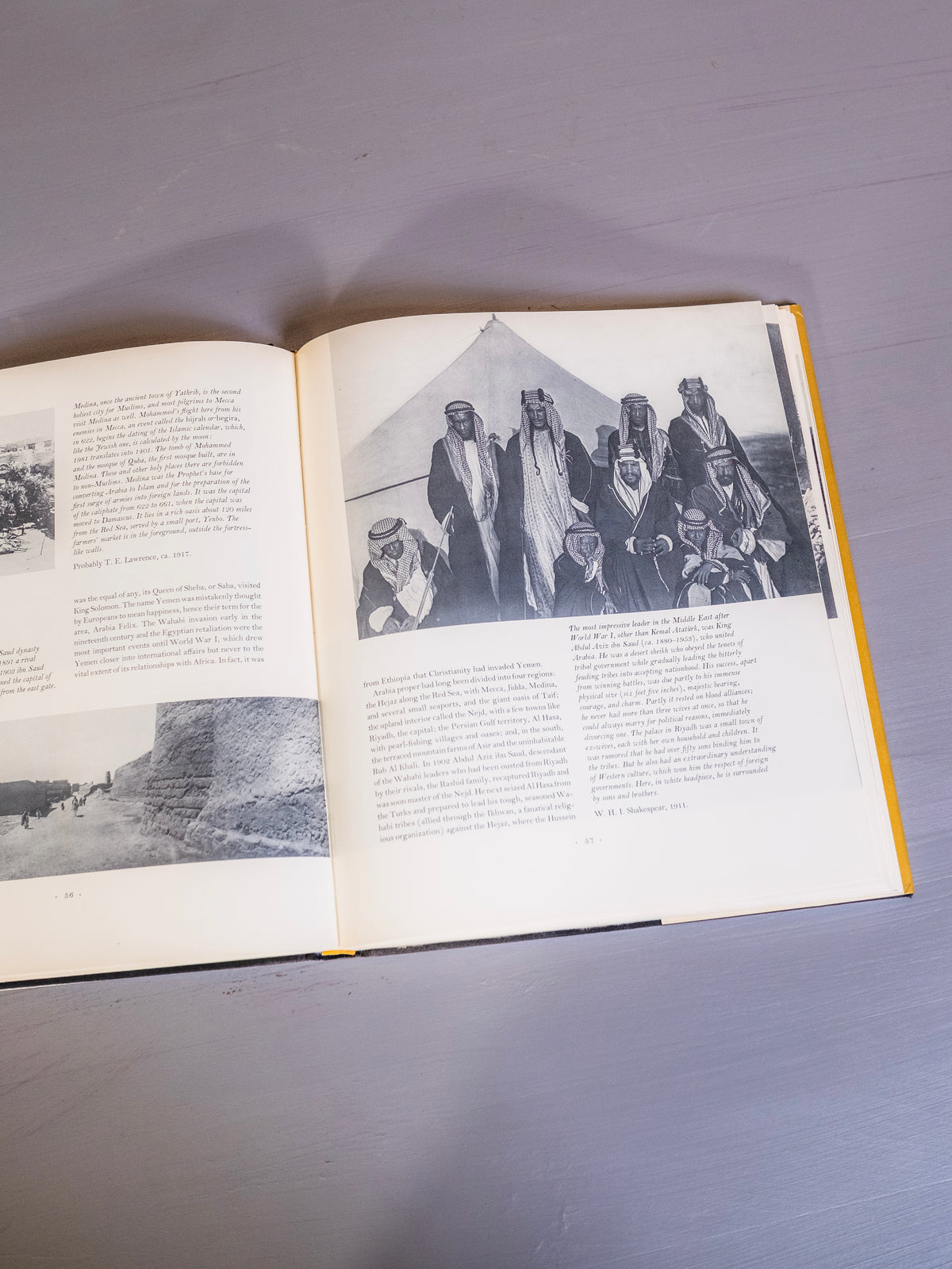 Travelers in Ancient Lands Book