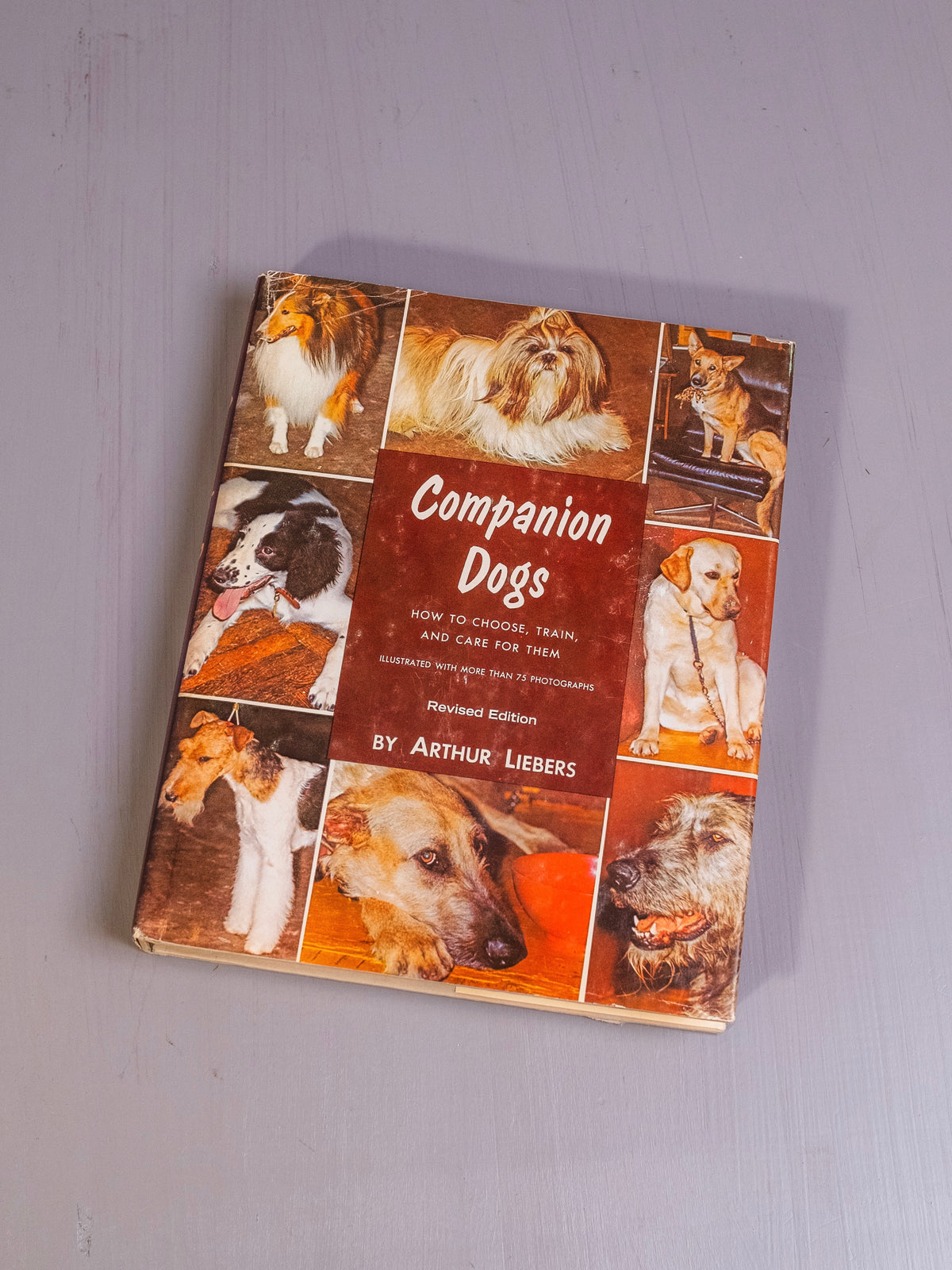 Companion Dogs Book