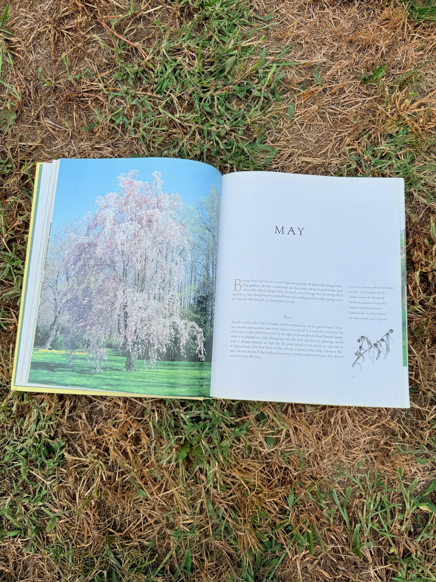 The Garden Through The Year Hardcover Book