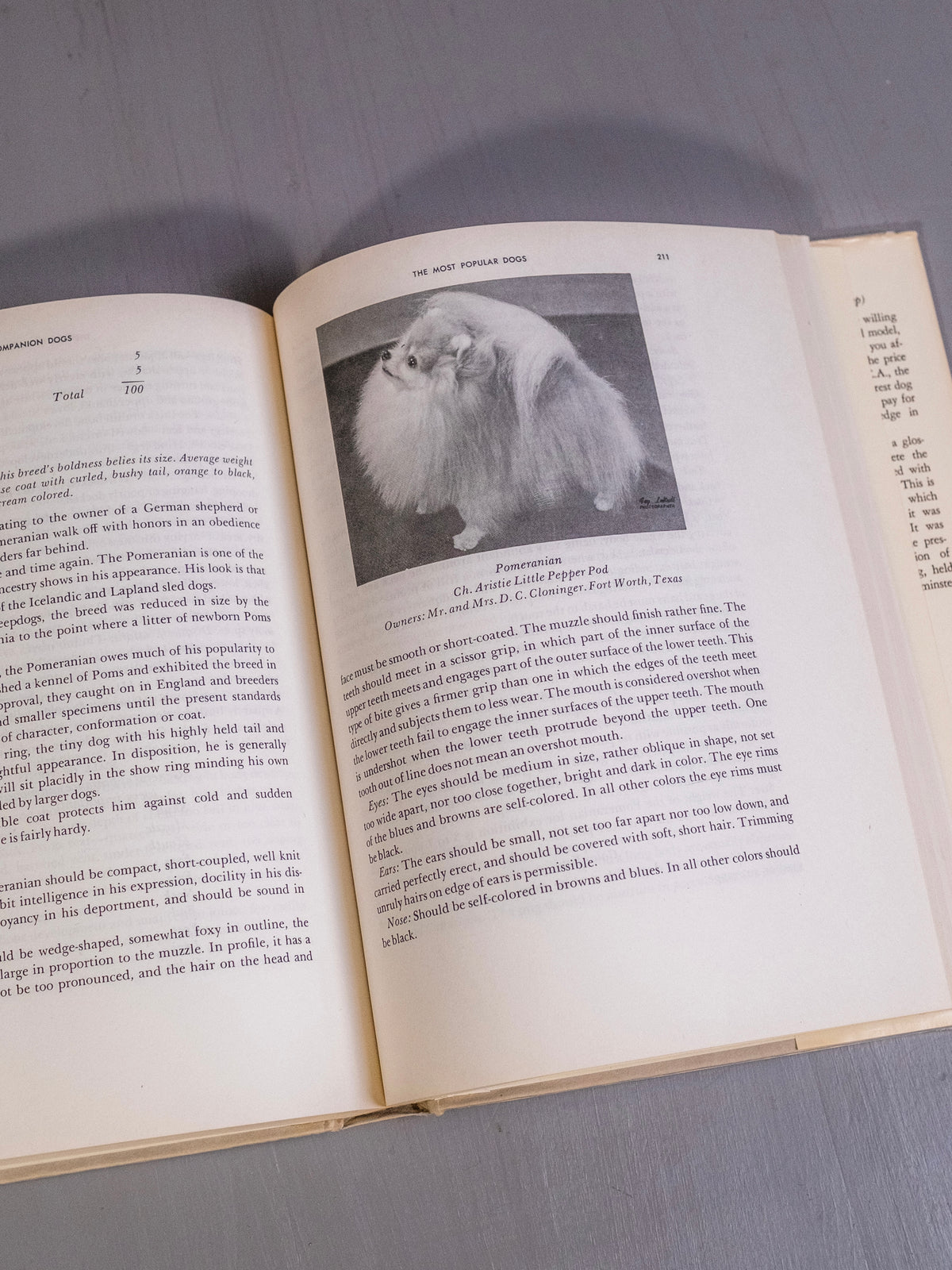 Companion Dogs Book