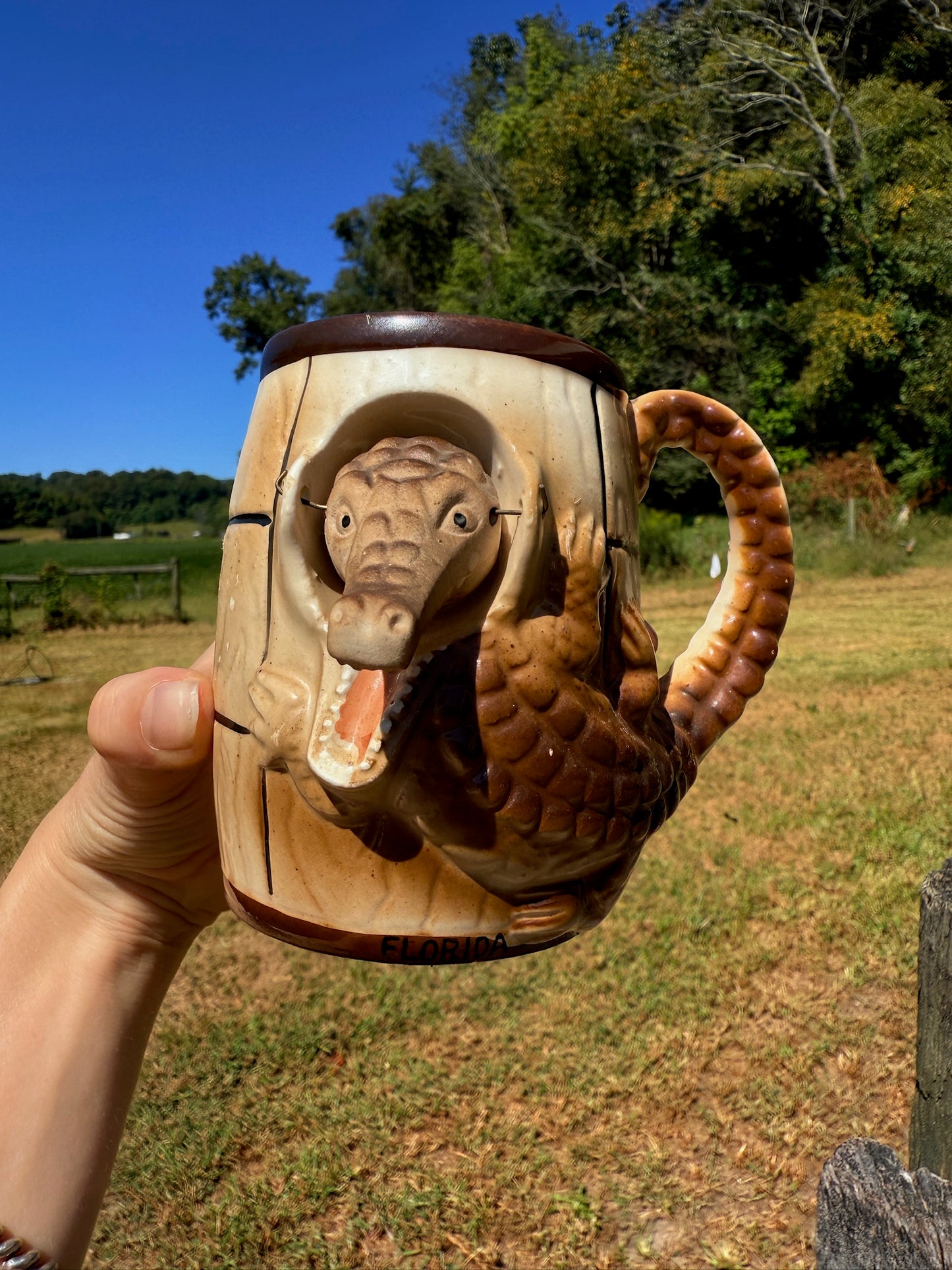 Vintage 1950s Florida Alligator Bobble Head Mug