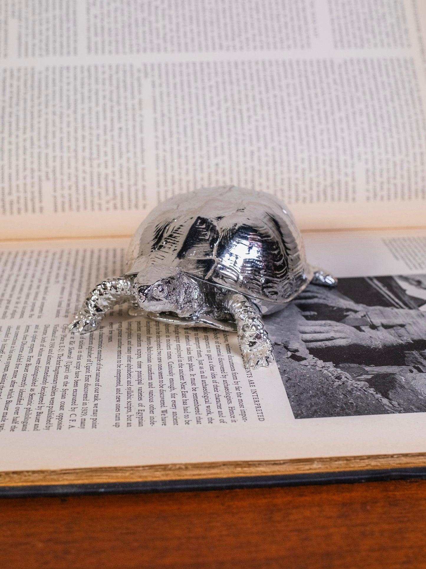 Harry Allen for Areaware Silver Chrome Turtle Trinket Box