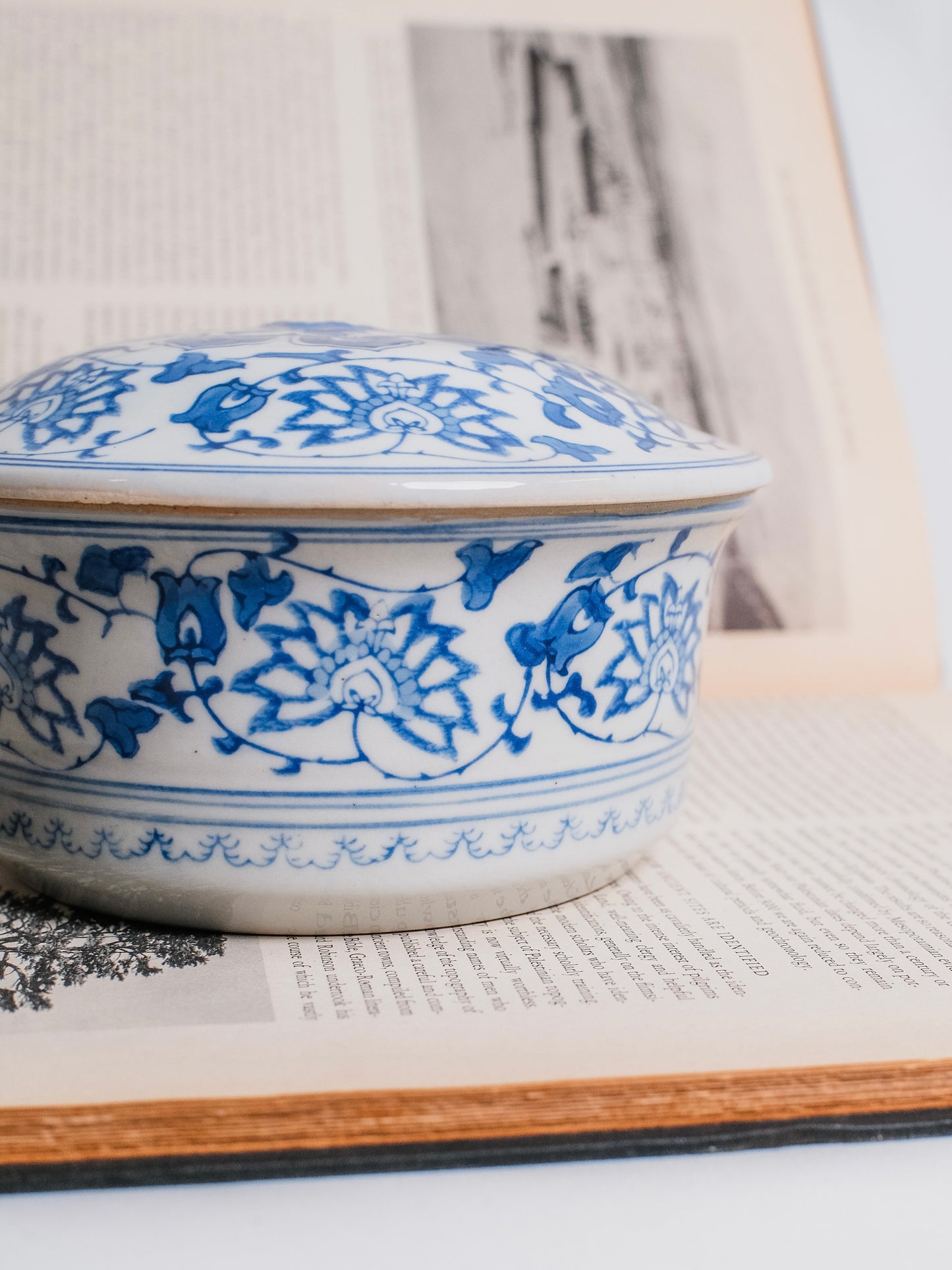 Vintage Chinese Chinoiserie Blue & White “Lily Pattern” Porcelain Lidded Dish
