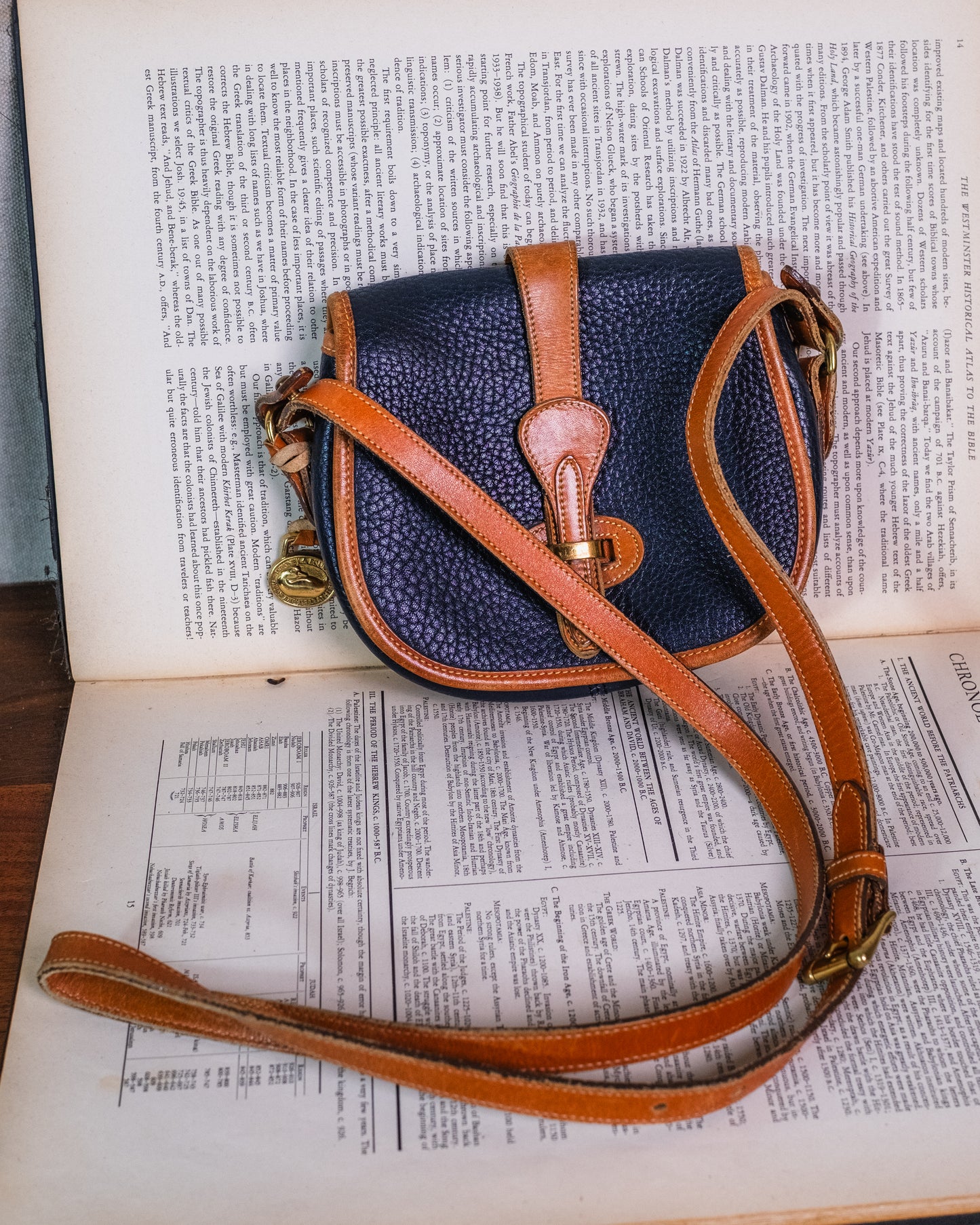 Vintage 1980s Dooney & Bourke Two-Tone Leather Crossbody Bag