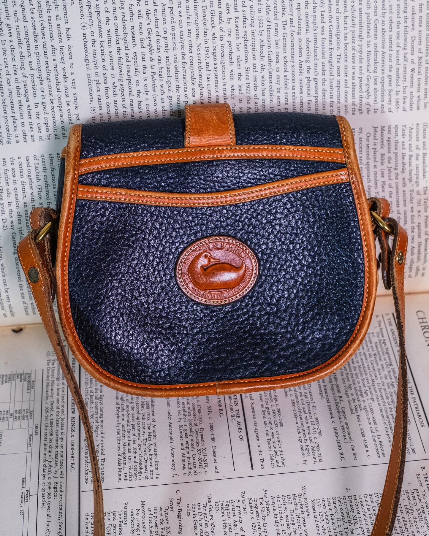 Vintage 1980s Dooney & Bourke Two-Tone Leather Crossbody Bag