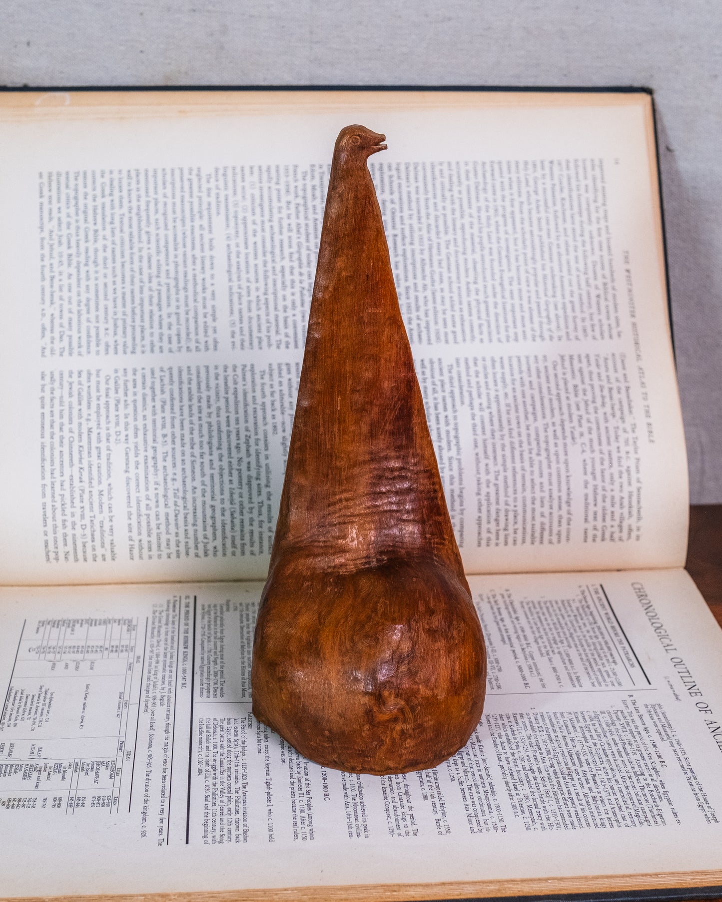 Vintage Hand-Carved Tree Knot Folk Art Bird Sculpture