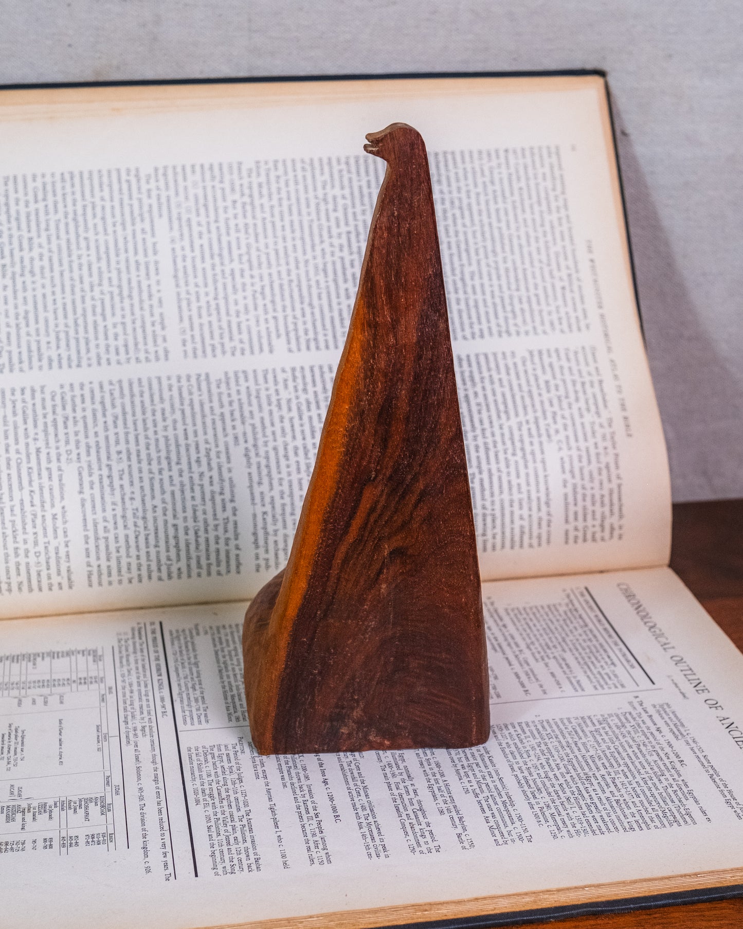 Vintage Hand-Carved Tree Knot Folk Art Bird Sculpture
