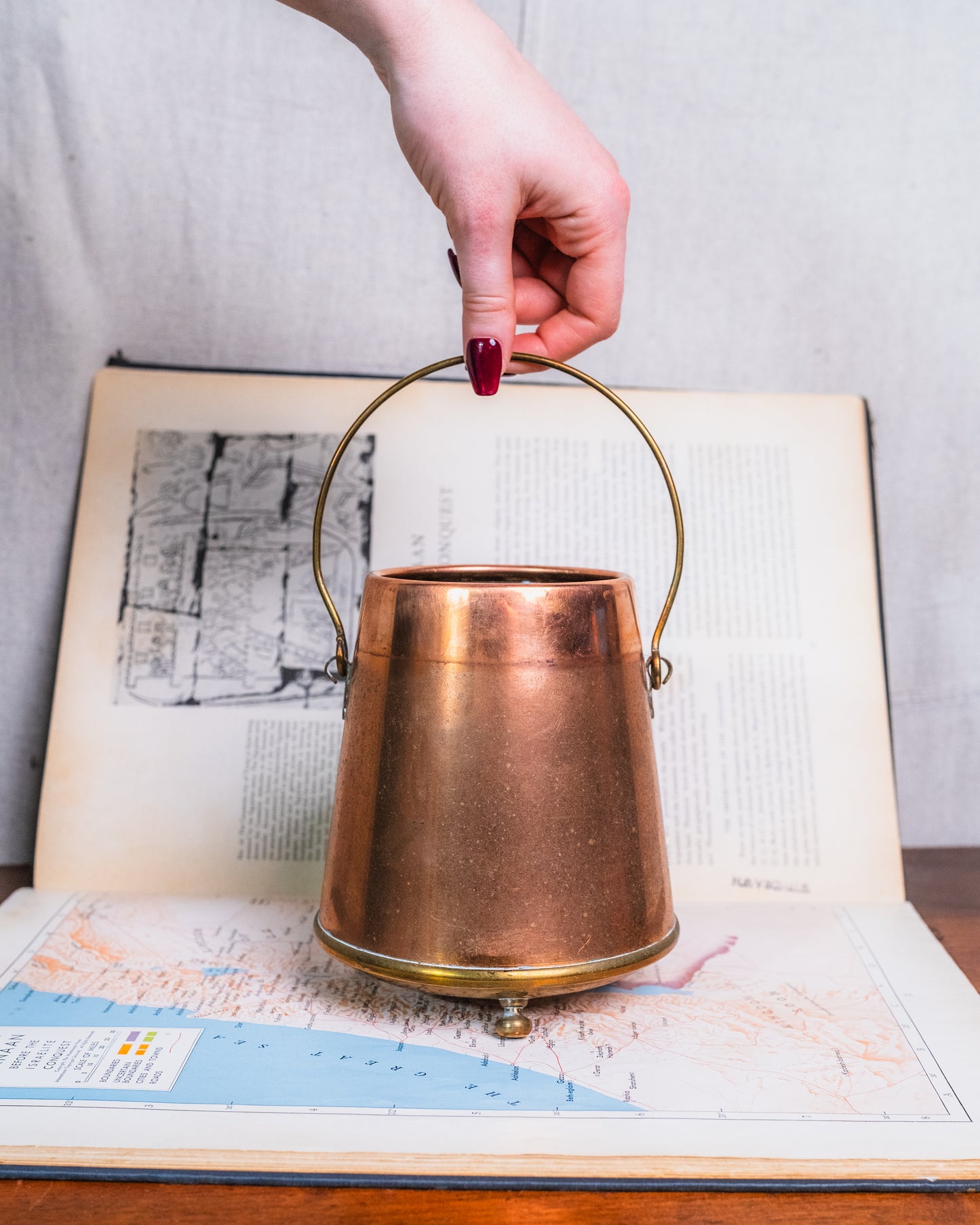 Antique Copper & Brass Fireplace Bucket