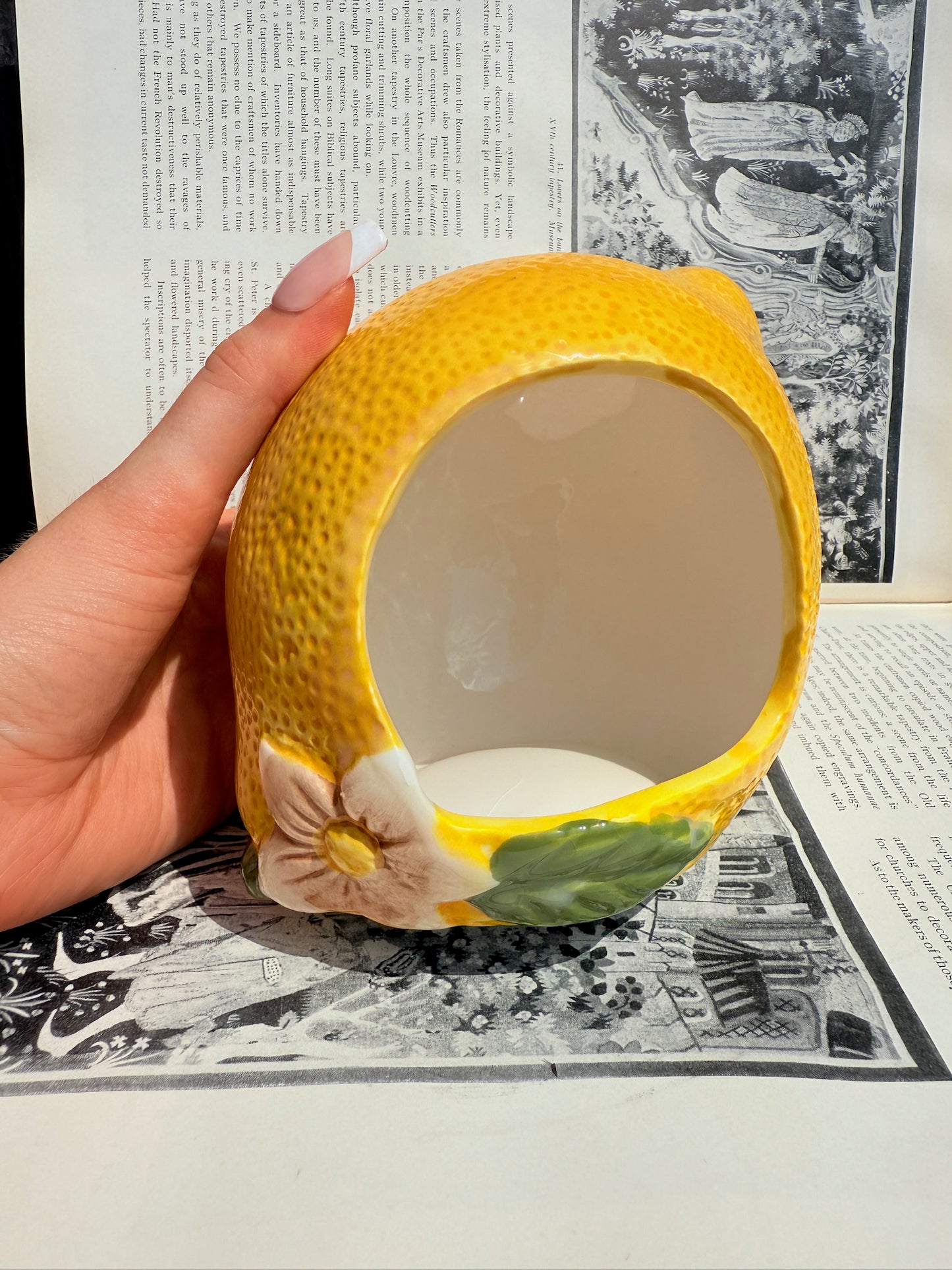 Vintage 1970s Ceramic Lemon Sponge Holder