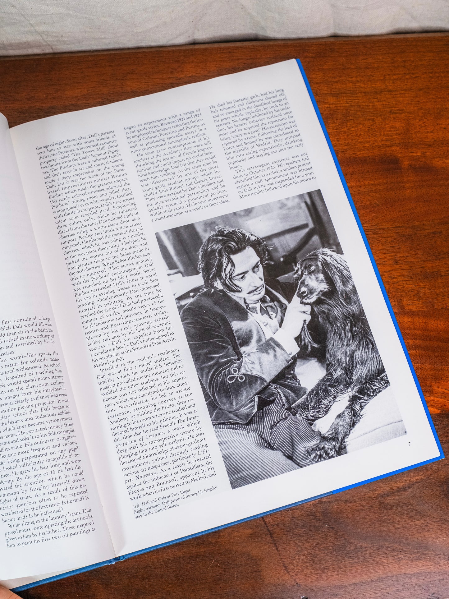 Dali Book