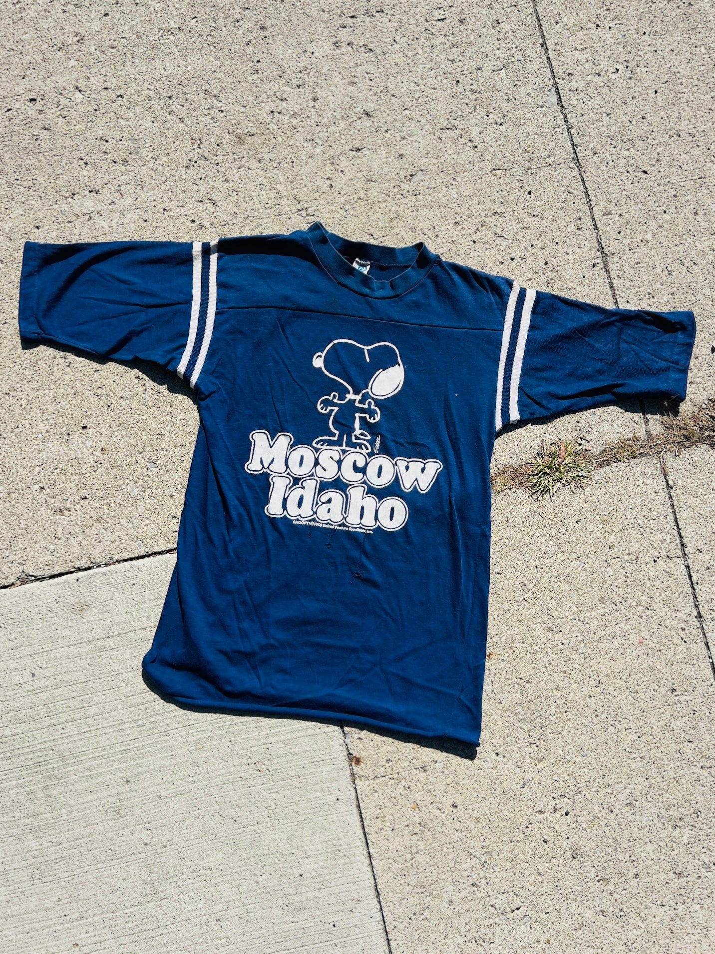 Vintage Snoopy Moscow Idaho Navy Distressed Jersey Tee | Medium