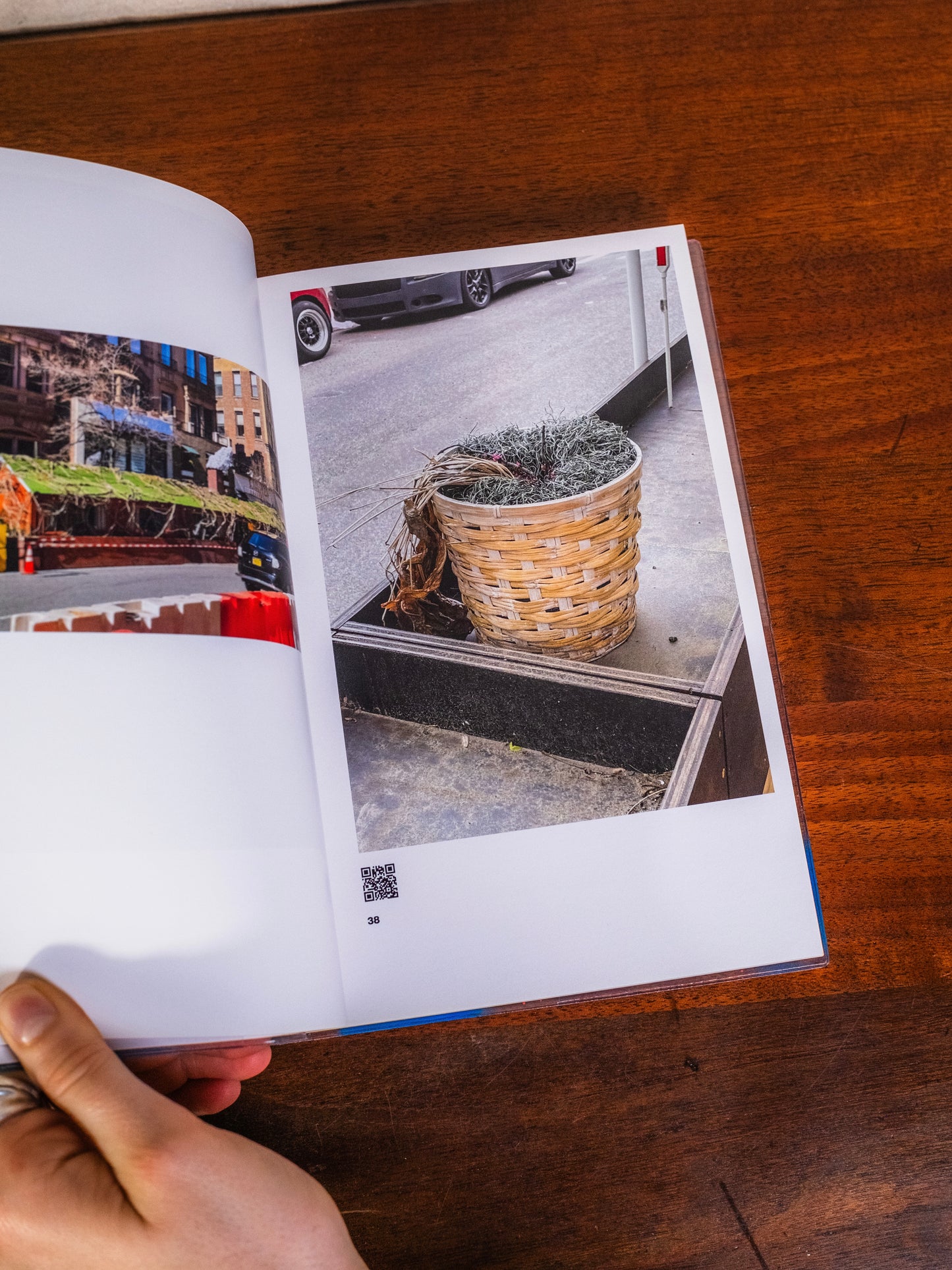 Al Fresco: Resilience in New York City Book