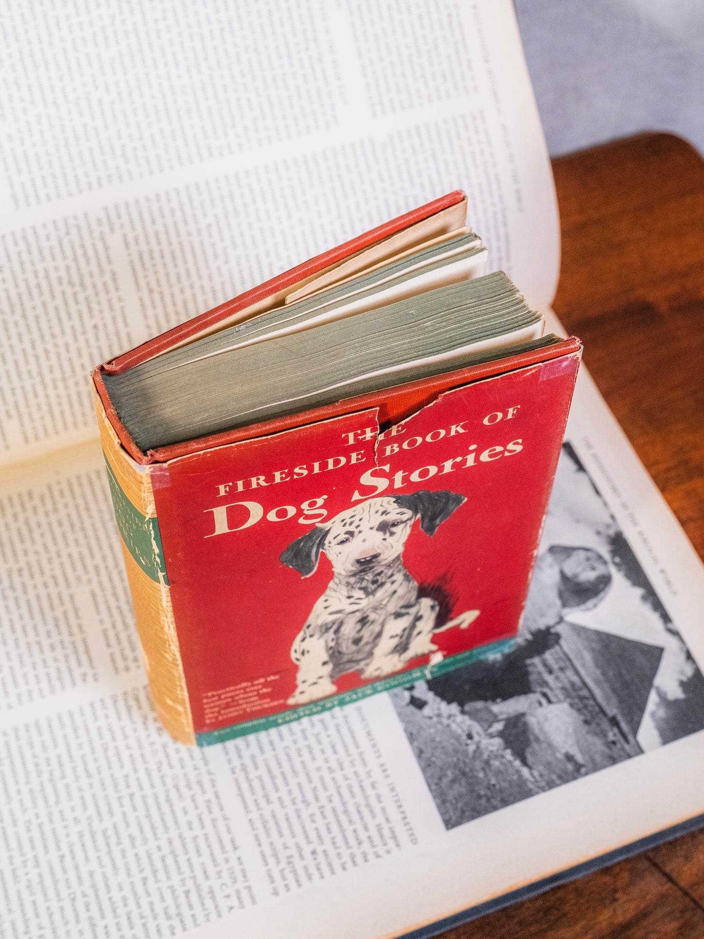 Vintage 1943 The Fireside Book of Dog Stories