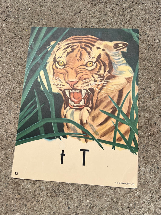 Vintage 1950s Phonics Flashcards(J.B. Lippincott Co.) w/ Hanger - Tiger