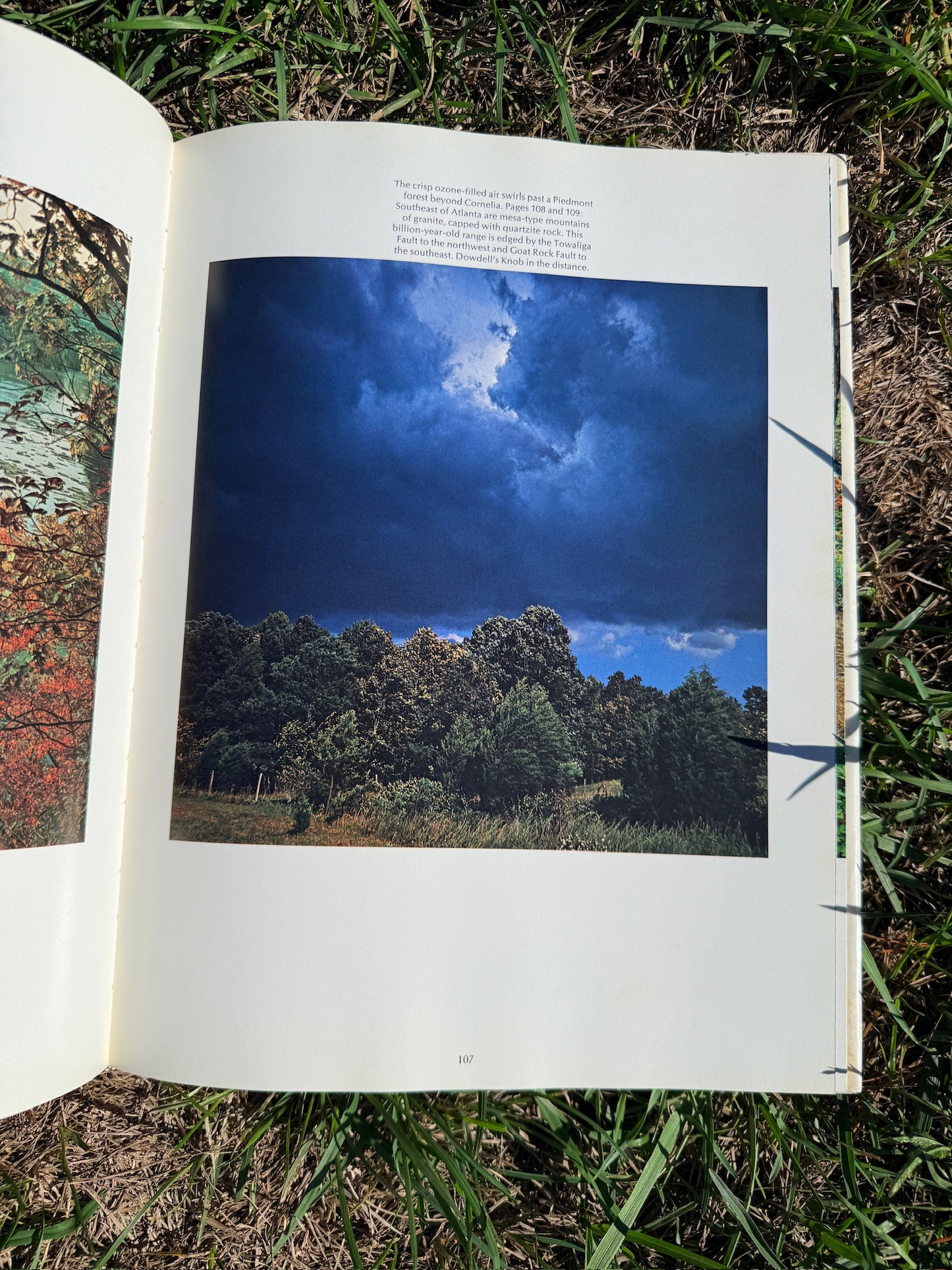 Vintage Georgia Photography Book