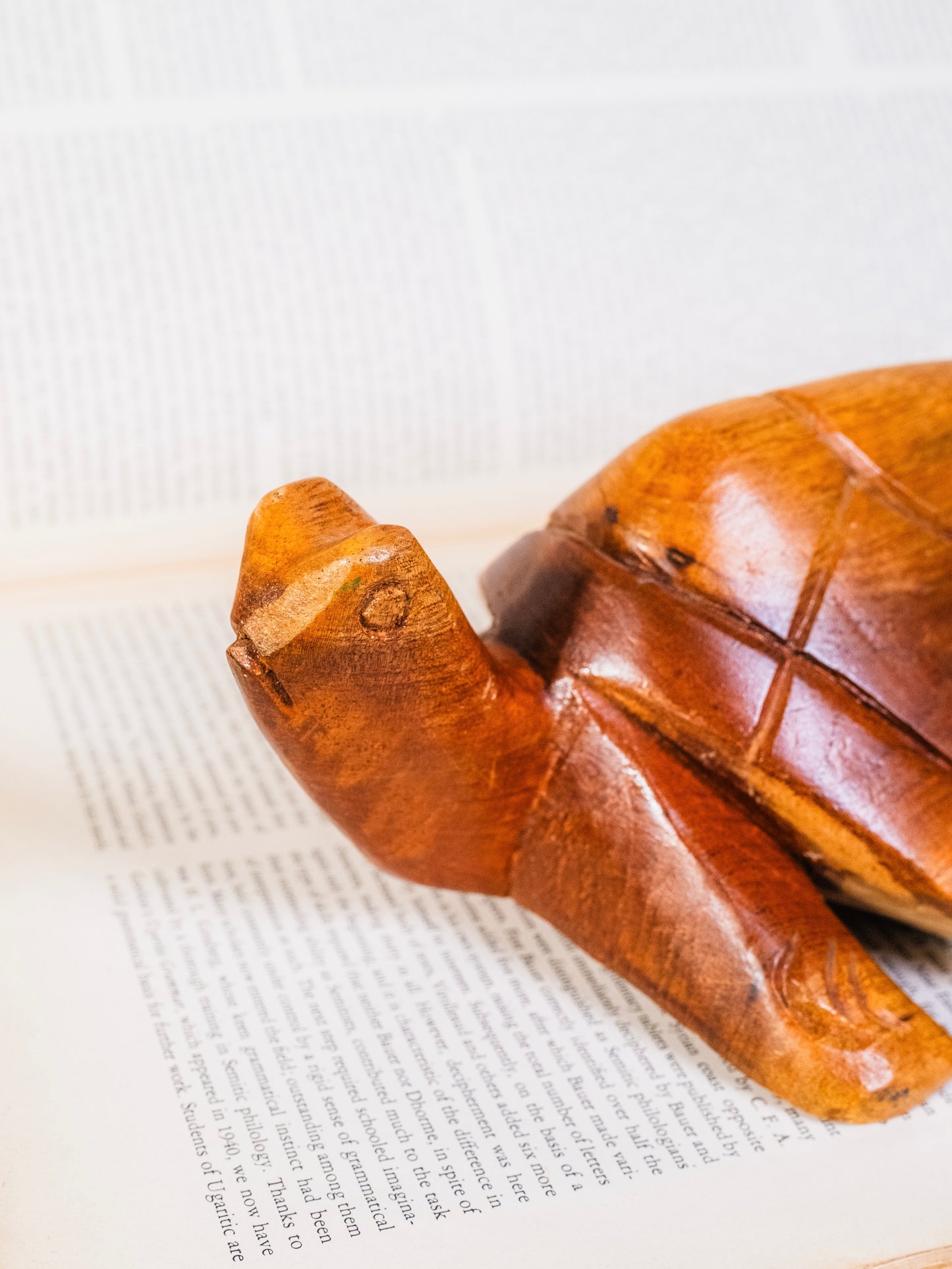 Vintage 1960s Wood Carved Turtle