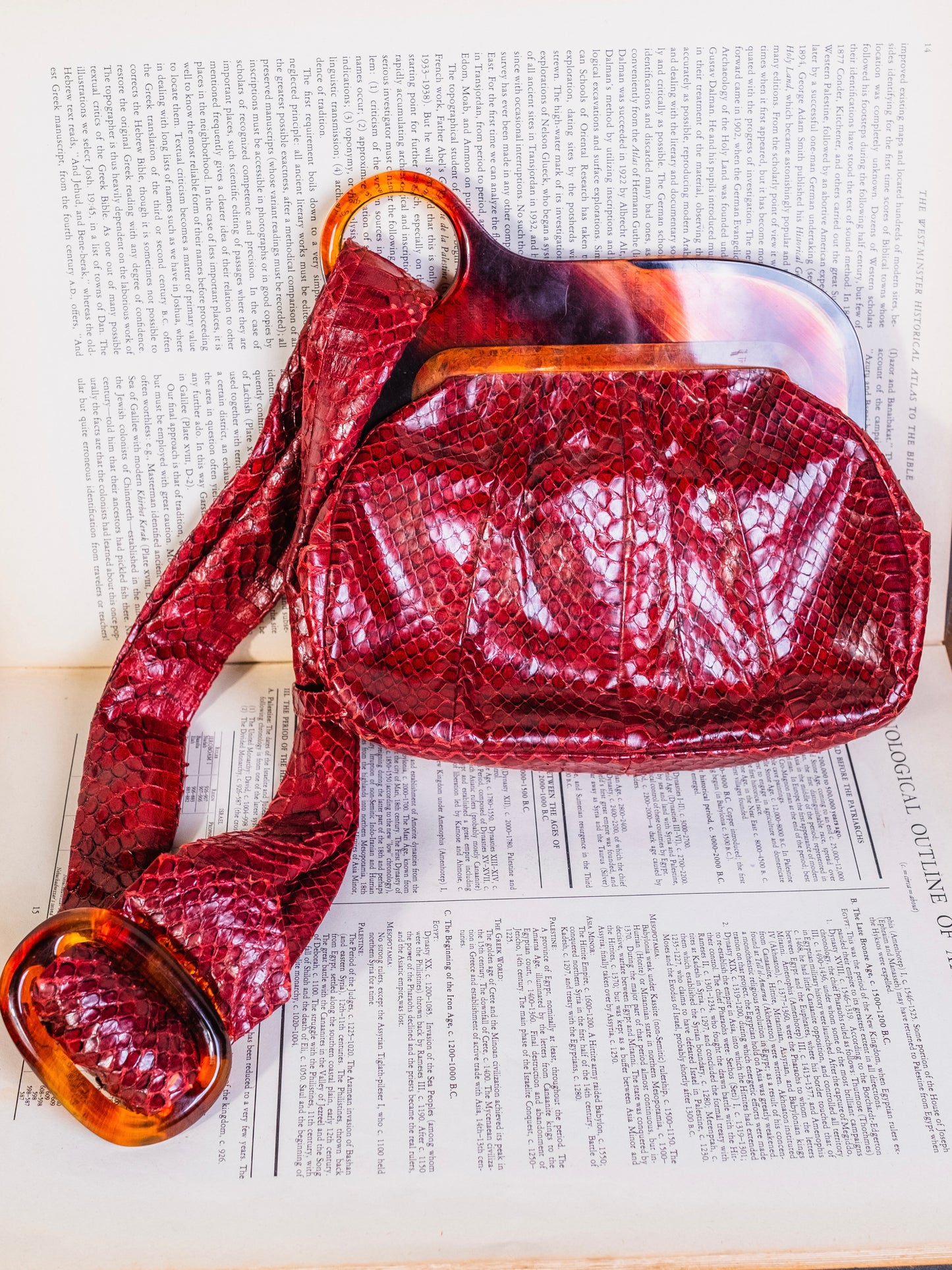 Vintage 1940s Deitsch Red Genuine Snakeskin & Bakelite Handle Bag