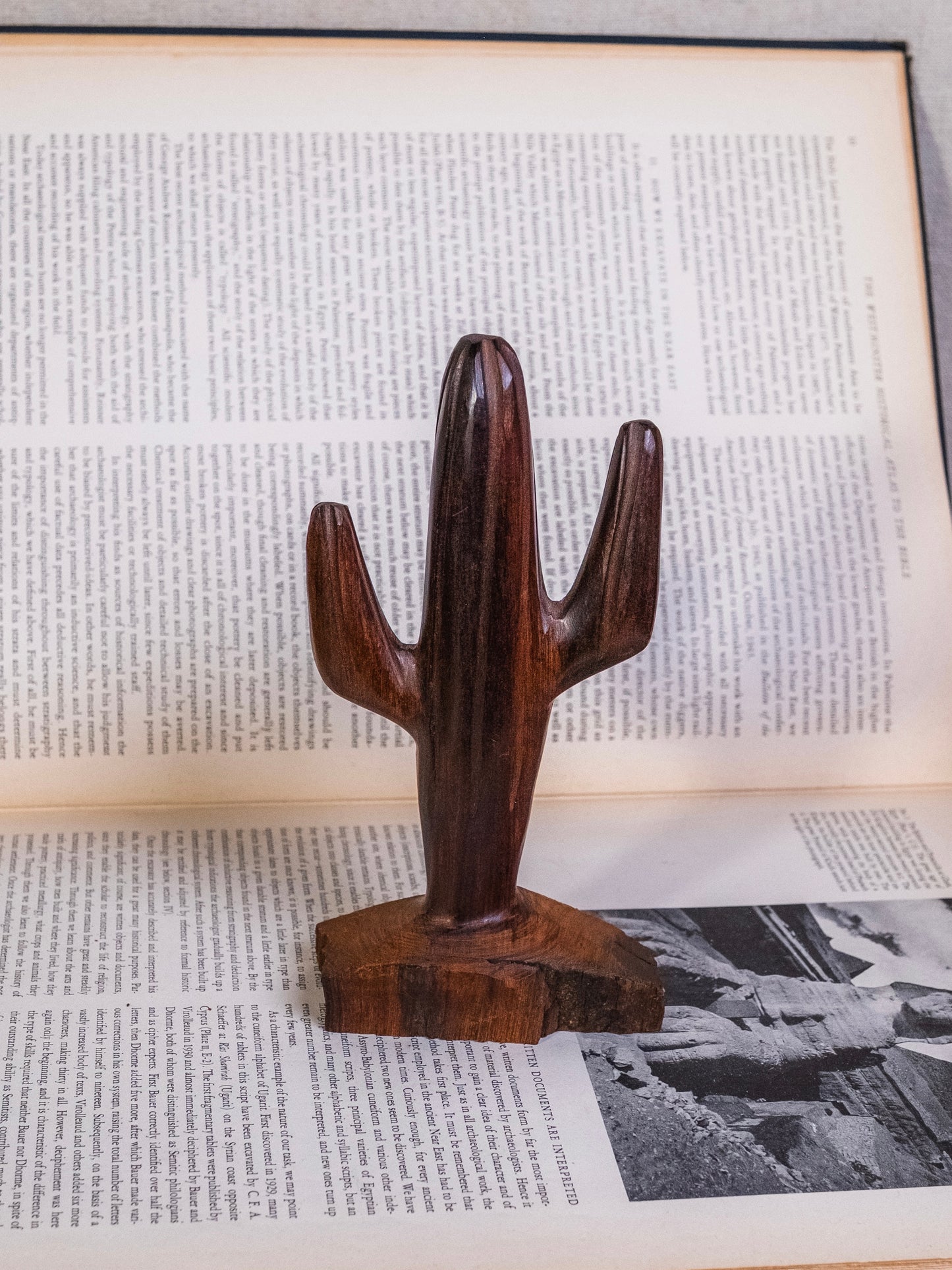 Vintage 1960s Ironwood Hand-Carved Cactus