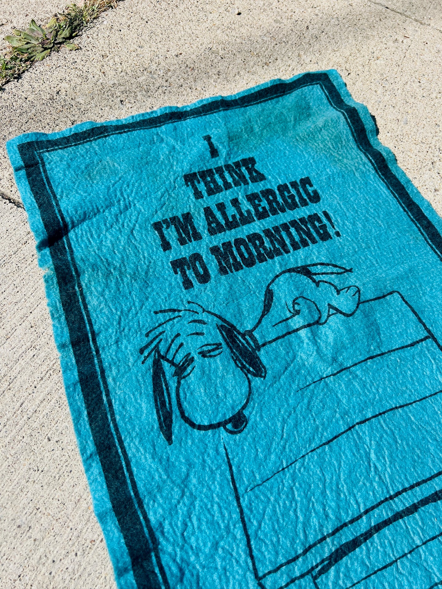 Vintage Snoopy “I Think I’m Allergic To Morning!” Felt Pennant