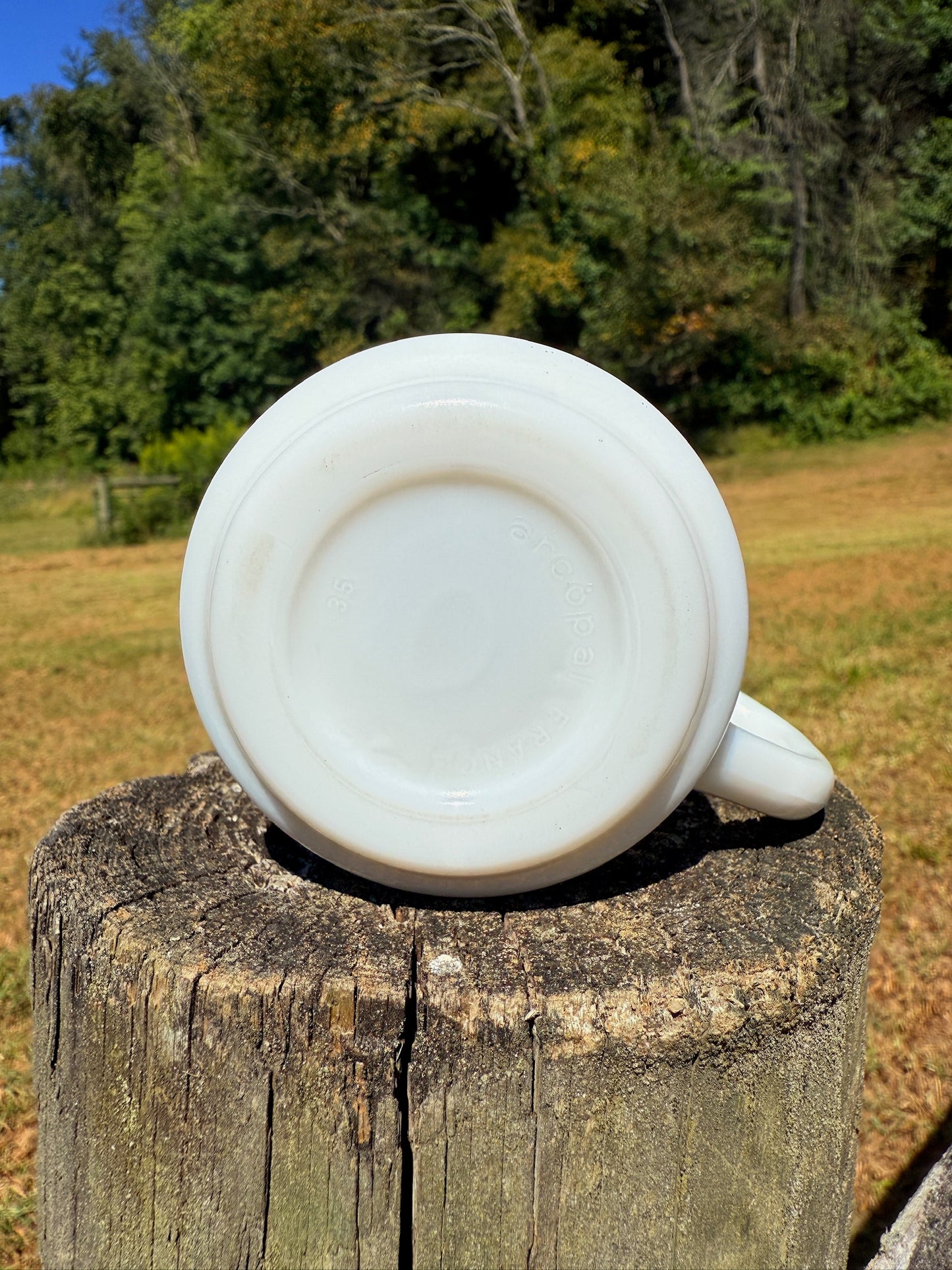 Vintage 1970s Milk Glass Rose Mug
