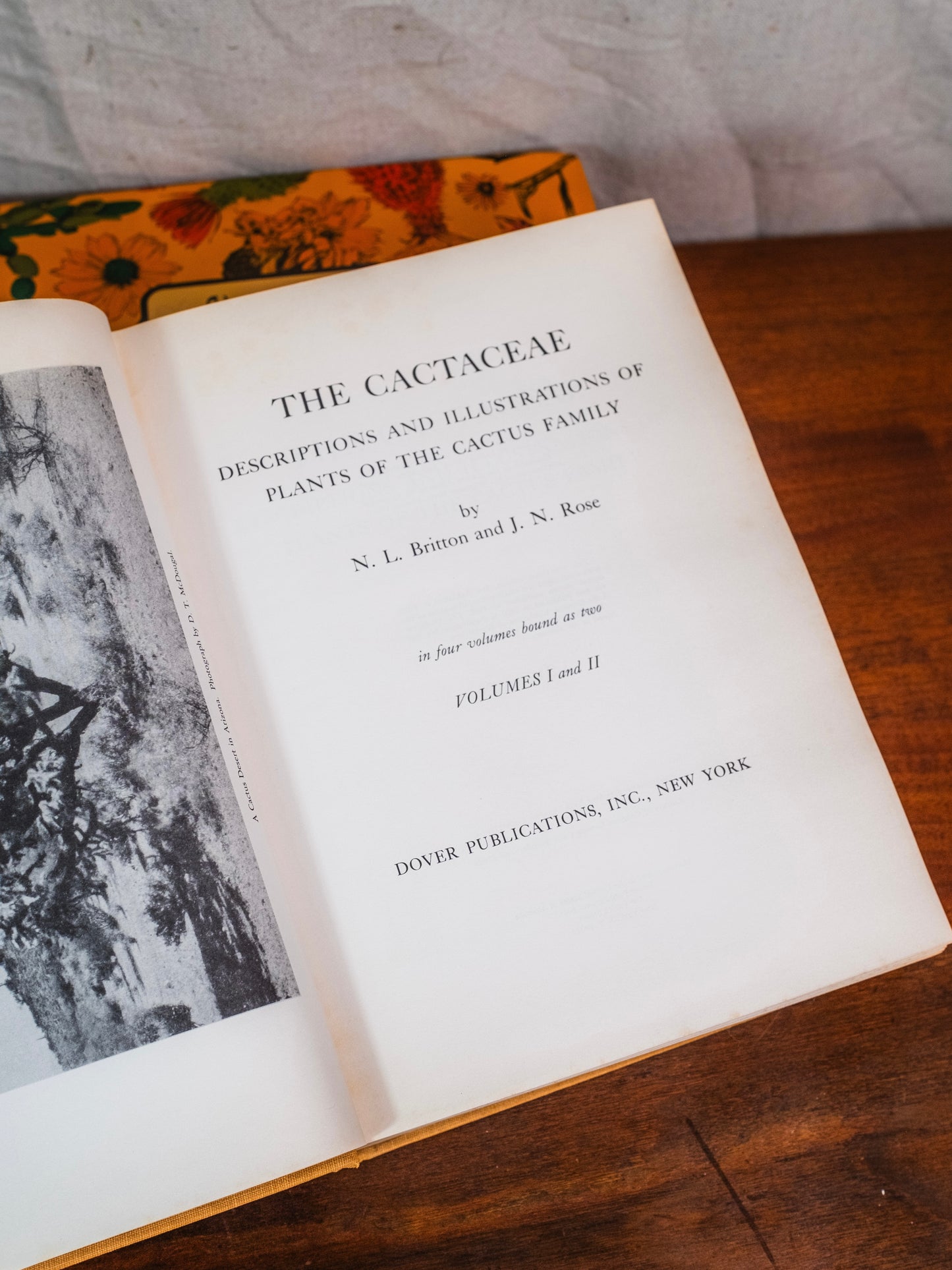 The Cactaceae Books | Set of 2