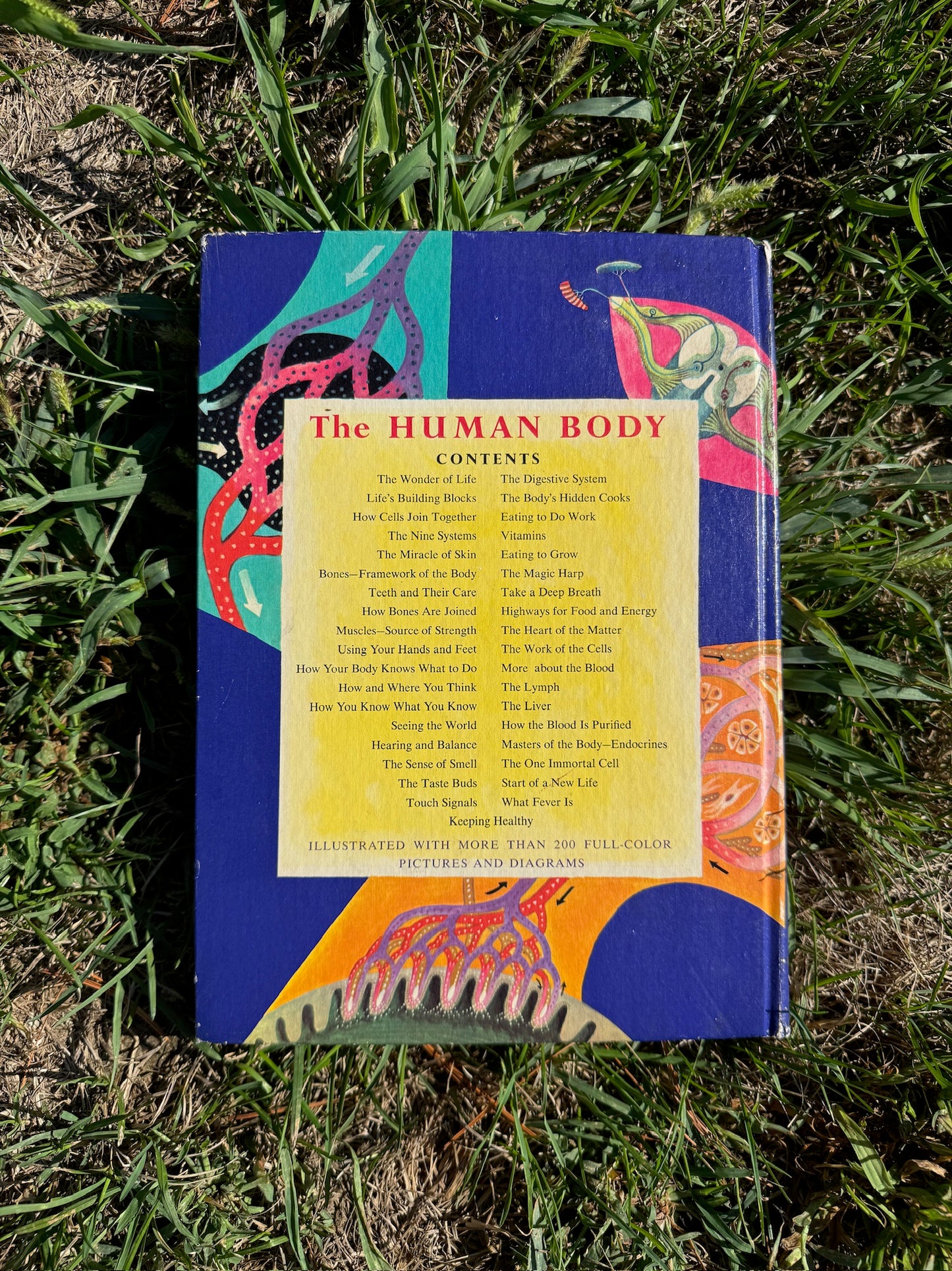 Vintage 1970s The Human Body Textbook