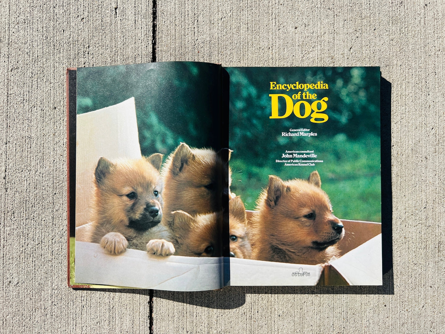 Vintage Encyclopedia of the Dog Hardcover Book