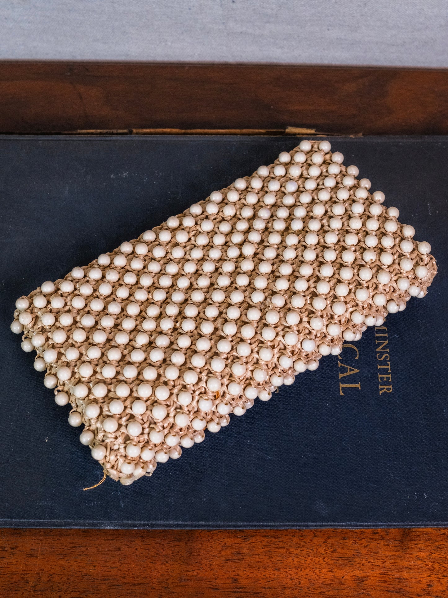 Vintage 1950s Ritter “It’s in the Bag” Beaded Clutch