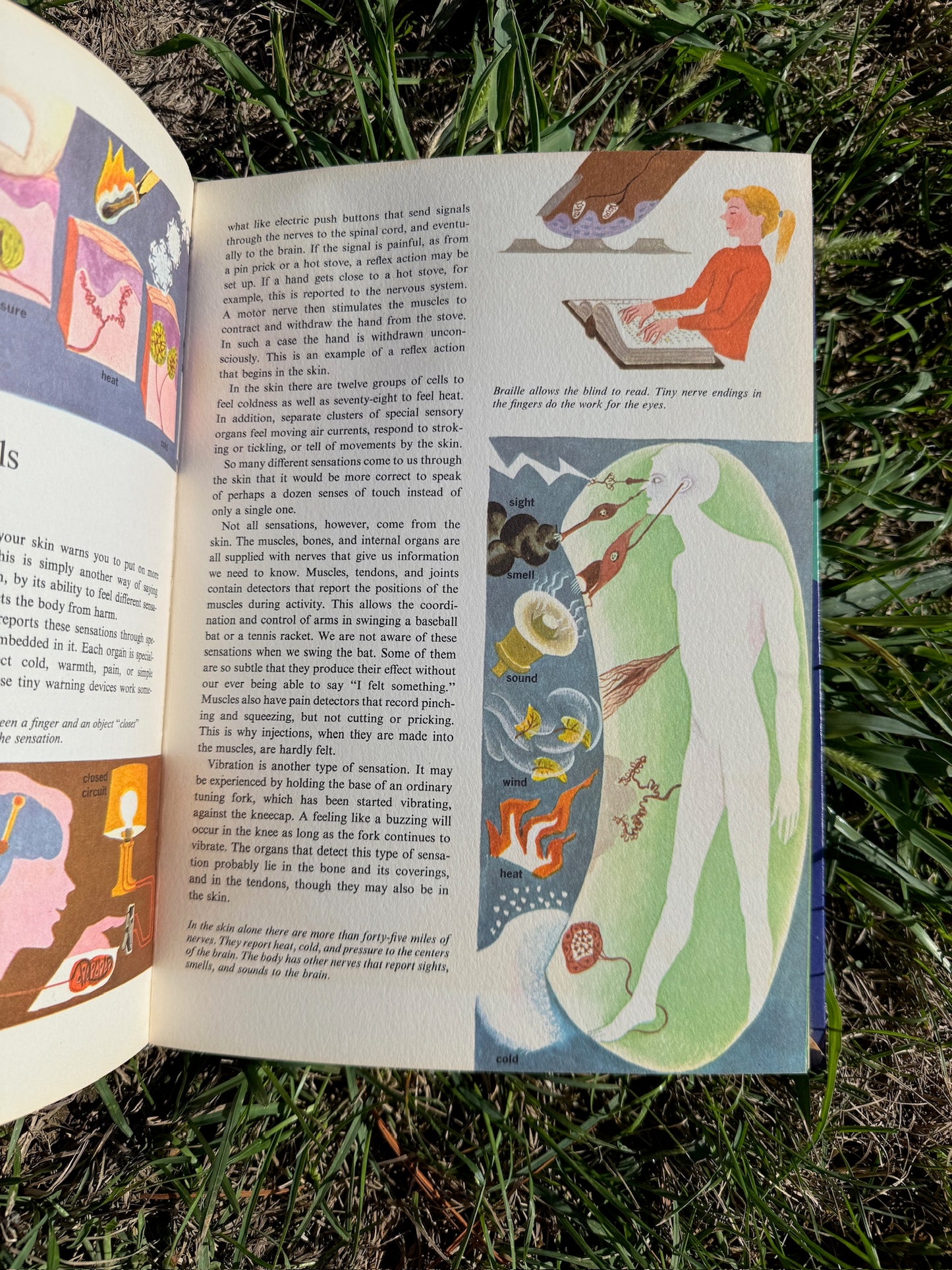 Vintage 1970s The Human Body Textbook