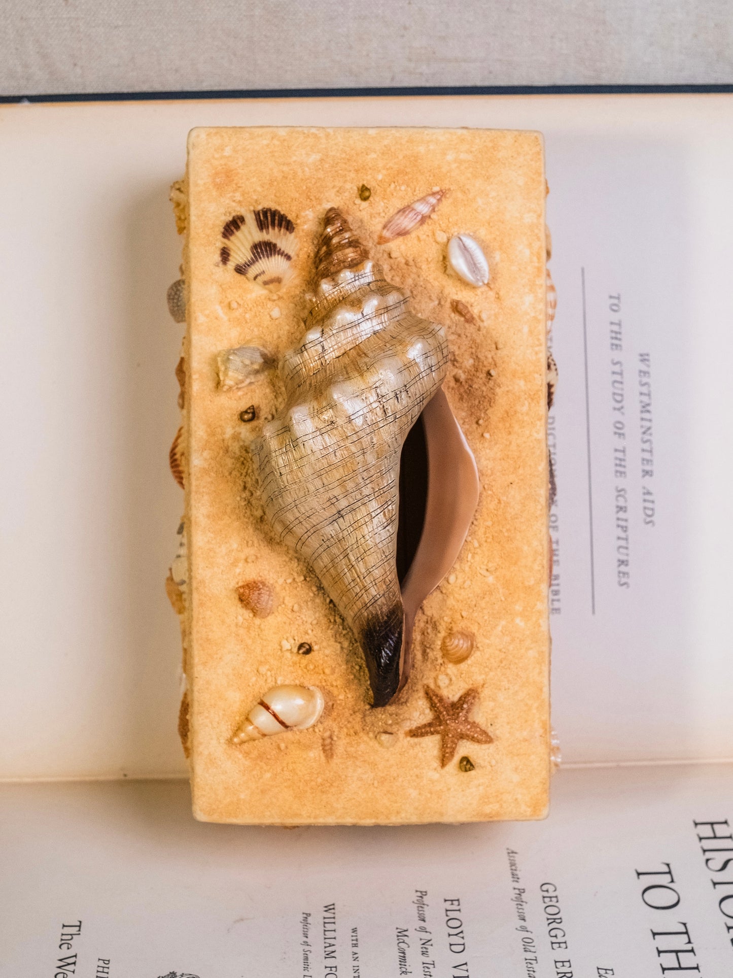 Vintage 1980s Sandy Beach Seashell Tissue Box Cover