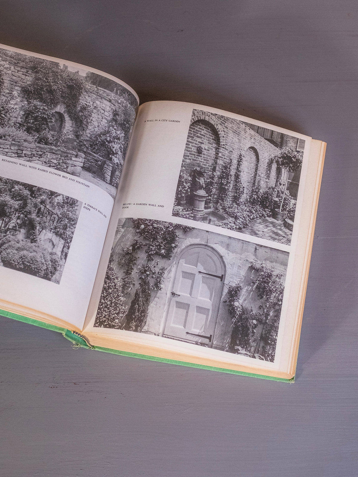 America’s Garden Book | Revised Edition