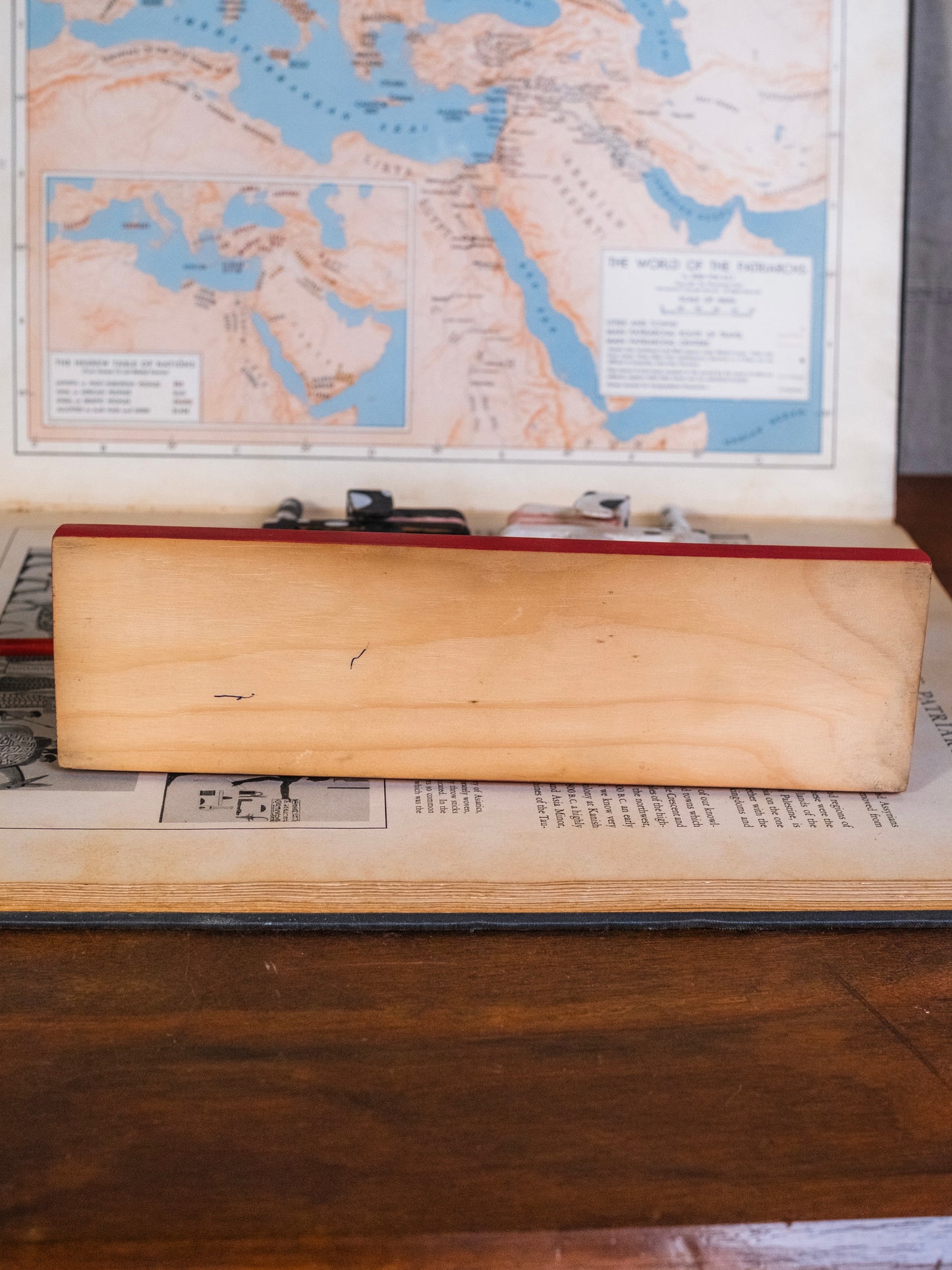 Vintage Wooden Spotted Dog Automata