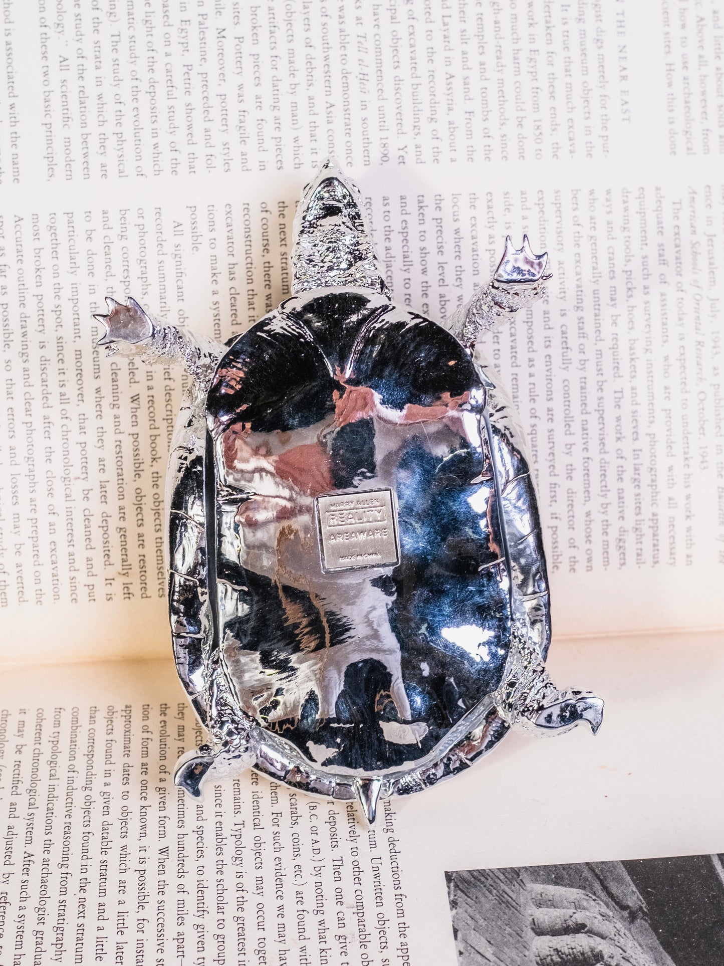 Harry Allen for Areaware Silver Chrome Turtle Trinket Box