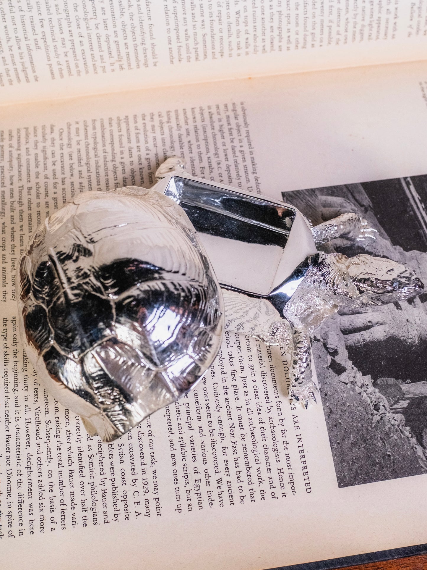Harry Allen for Areaware Silver Chrome Turtle Trinket Box