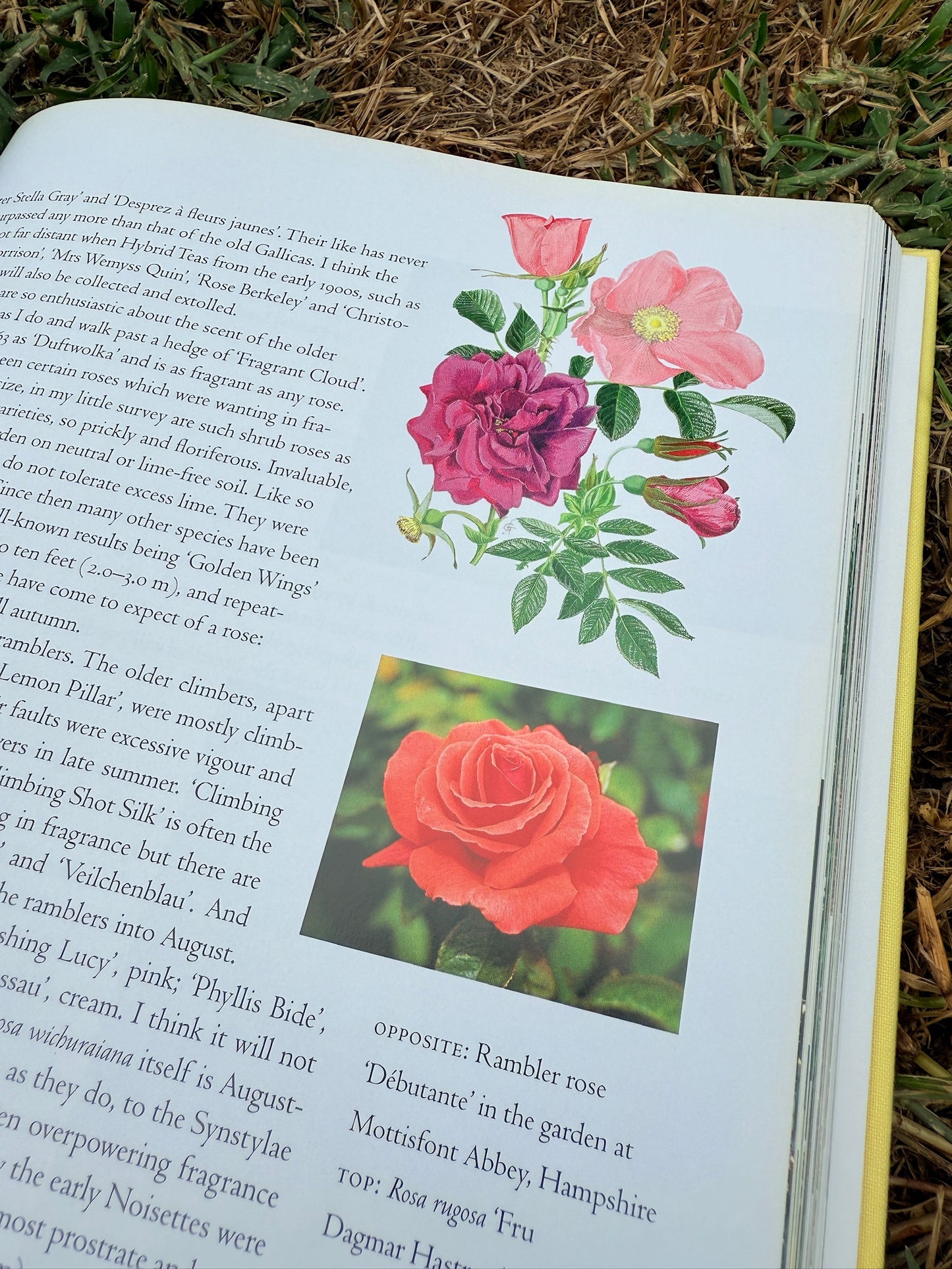 The Garden Through The Year Hardcover Book