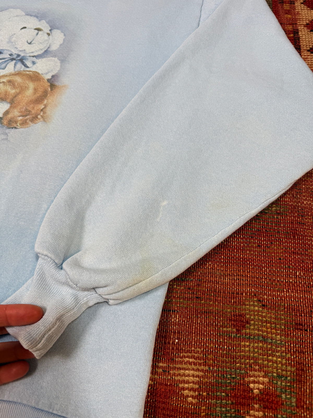Vintage 1980’s/90’s Baby Blue Dogs and Teddy Graphic Crewneck | L