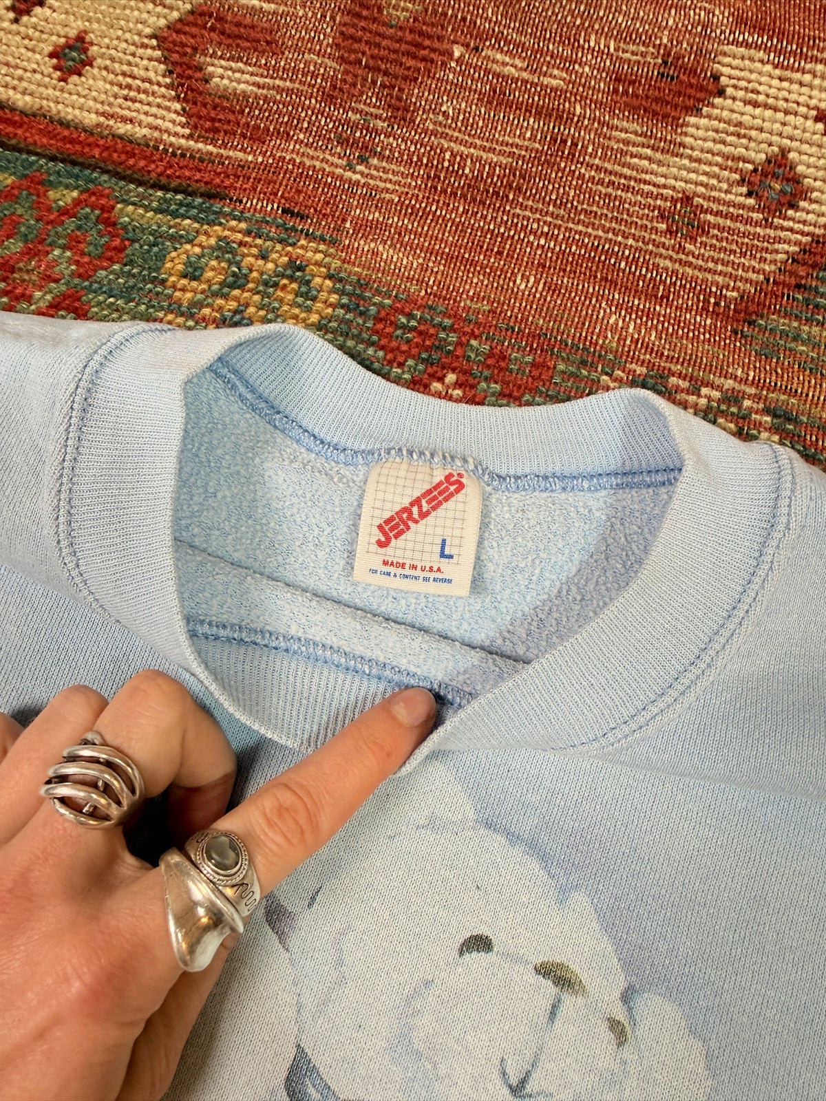 Vintage 1980’s/90’s Baby Blue Dogs and Teddy Graphic Crewneck | L