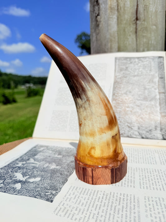 Vintage 1960s/70s Water Buffalo Horn on Wood Base