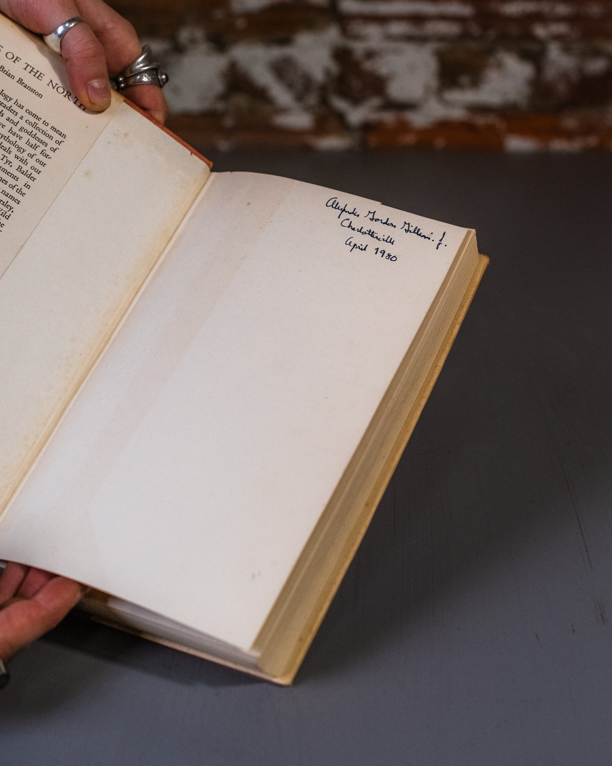 Gods Of The North Book