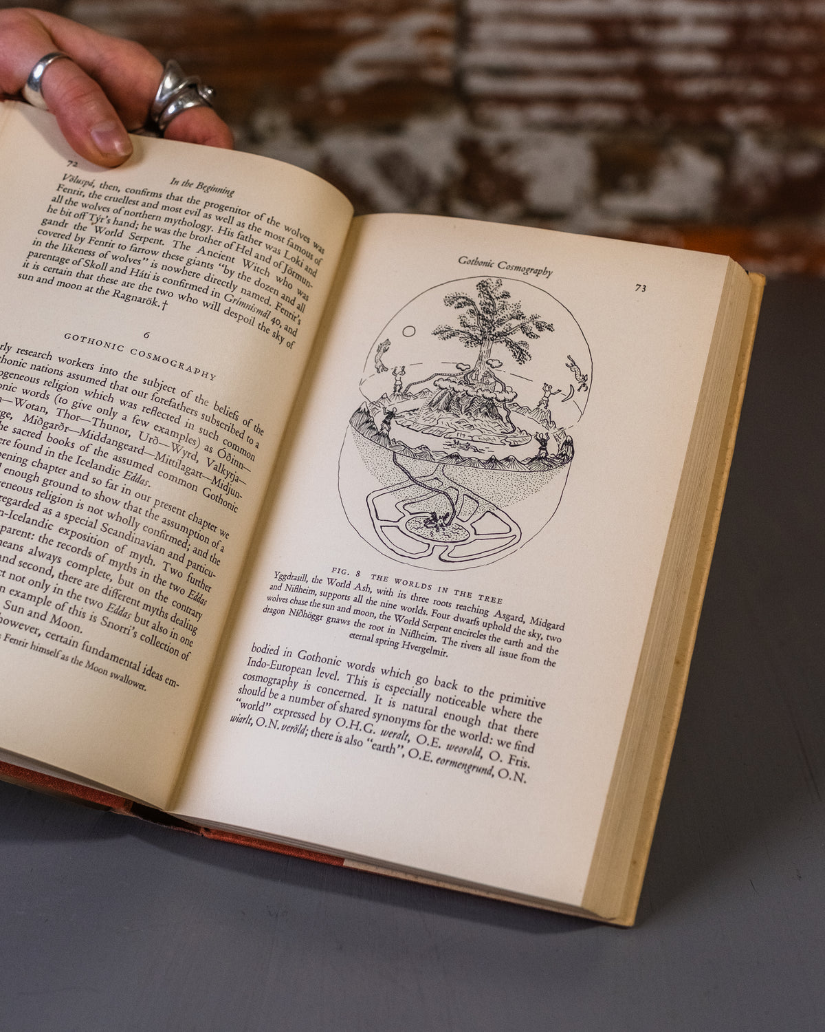 Gods Of The North Book