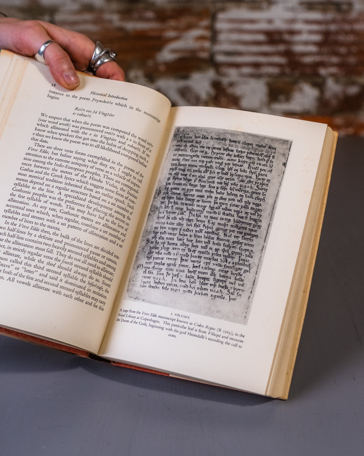 Gods Of The North Book