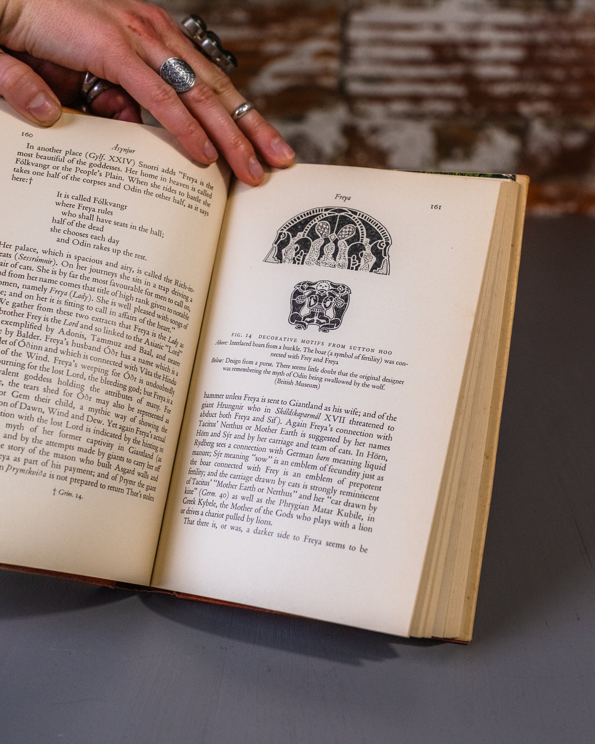 Gods Of The North Book