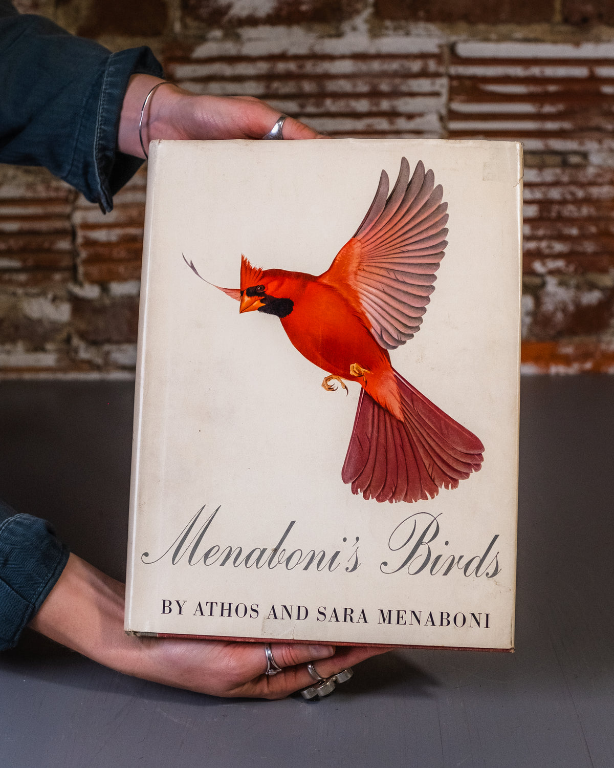 Menaboni's Birds Book